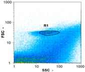 Membranes 08 00048 i030