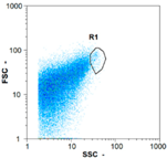 Membranes 08 00048 i033