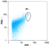 Membranes 08 00048 i036