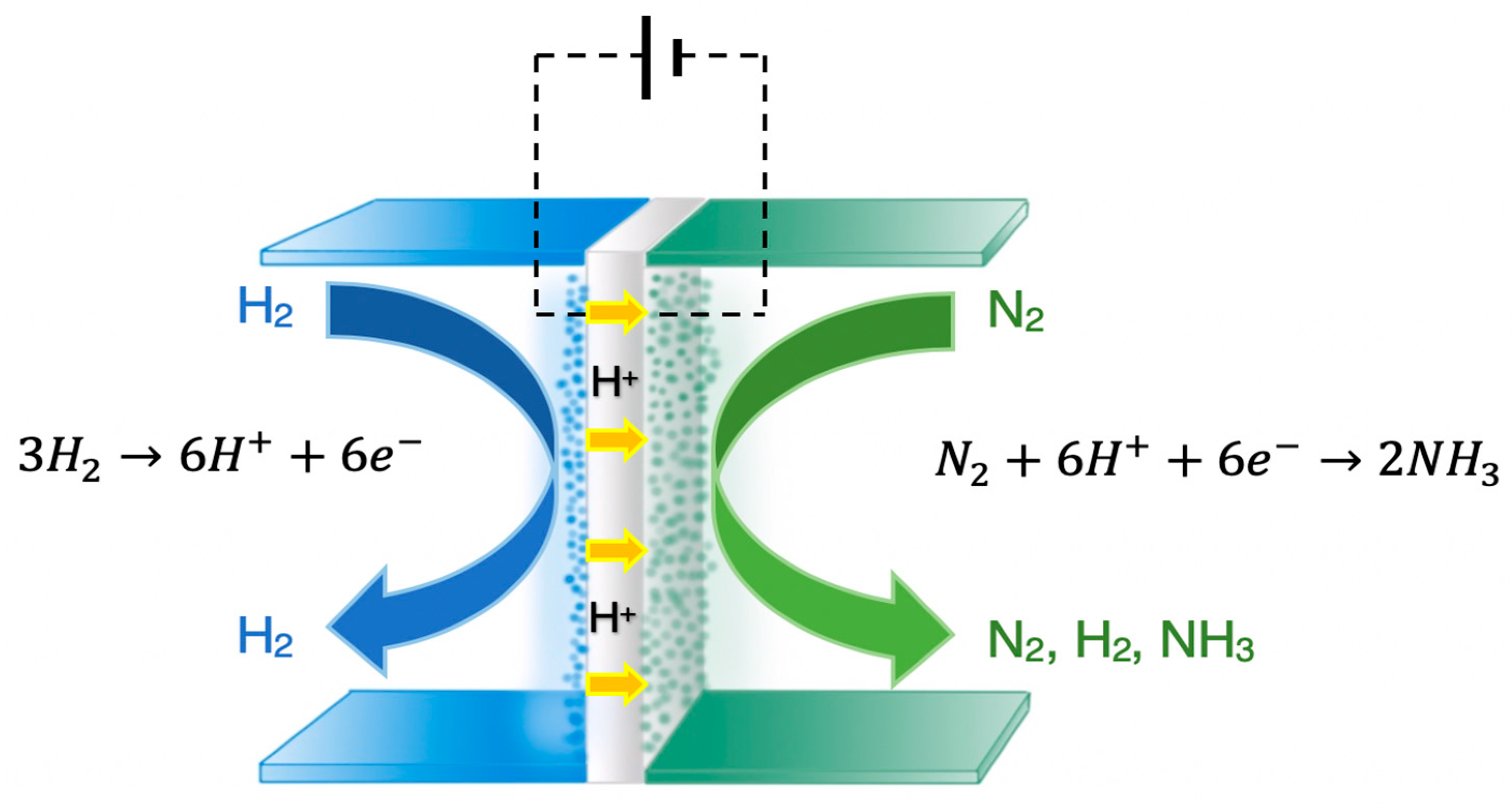 Membranes 09 00112 g001
