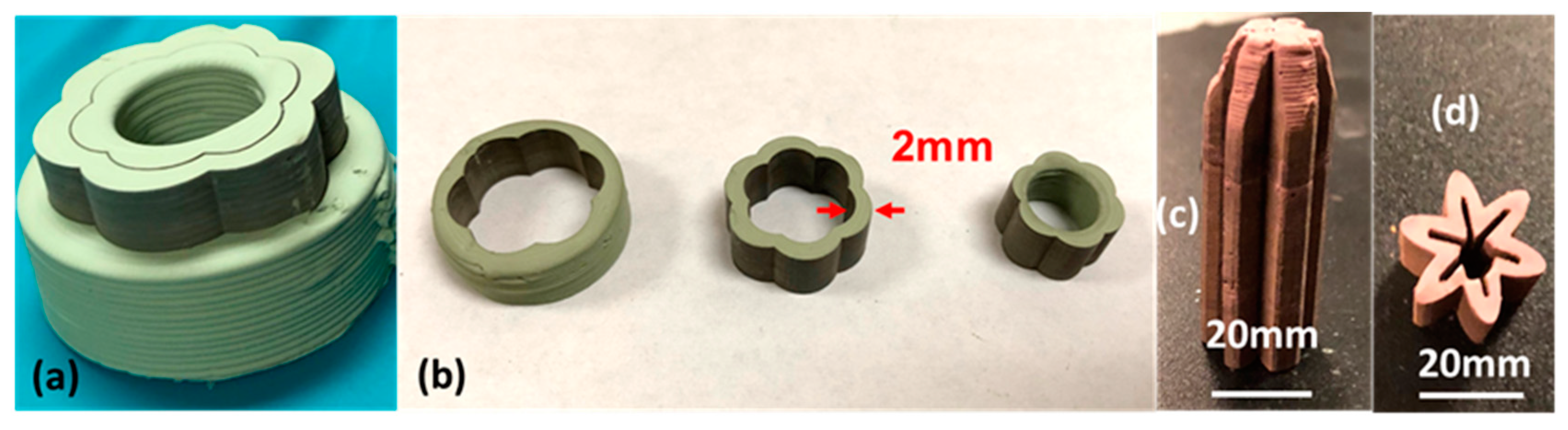 Membranes 10 00098 g006