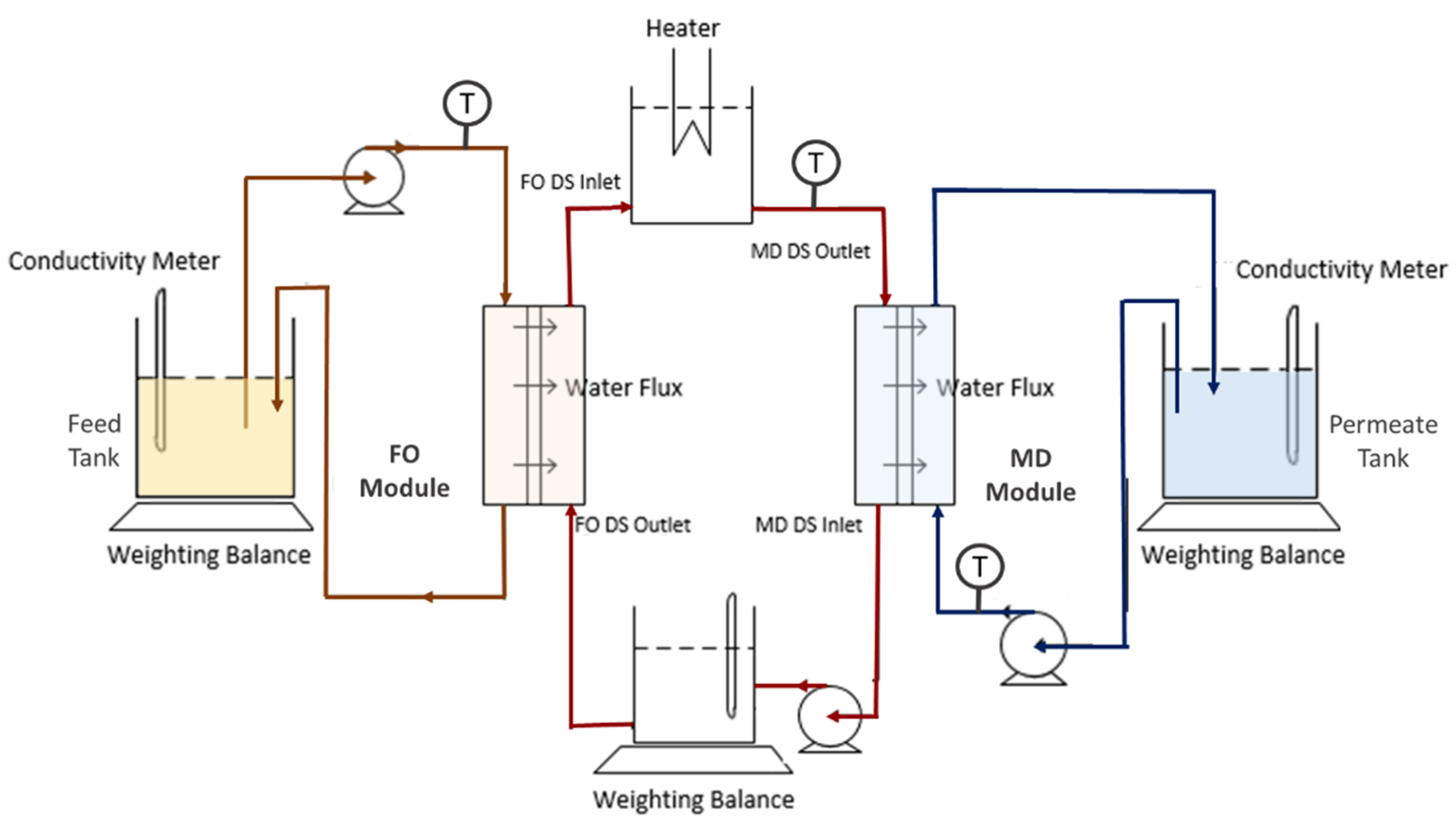 Membranes 10 00225 g001