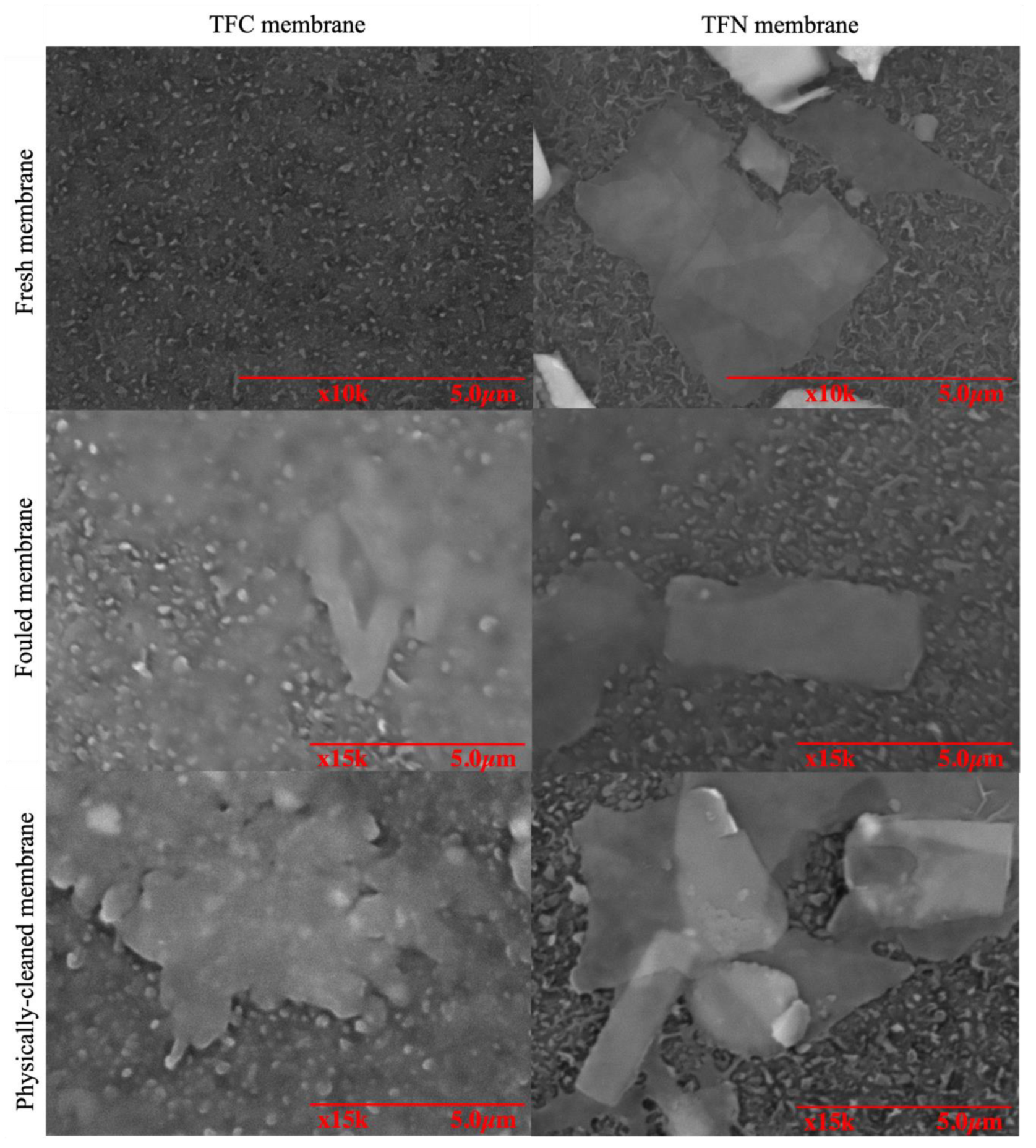 Membranes 10 00237 g005