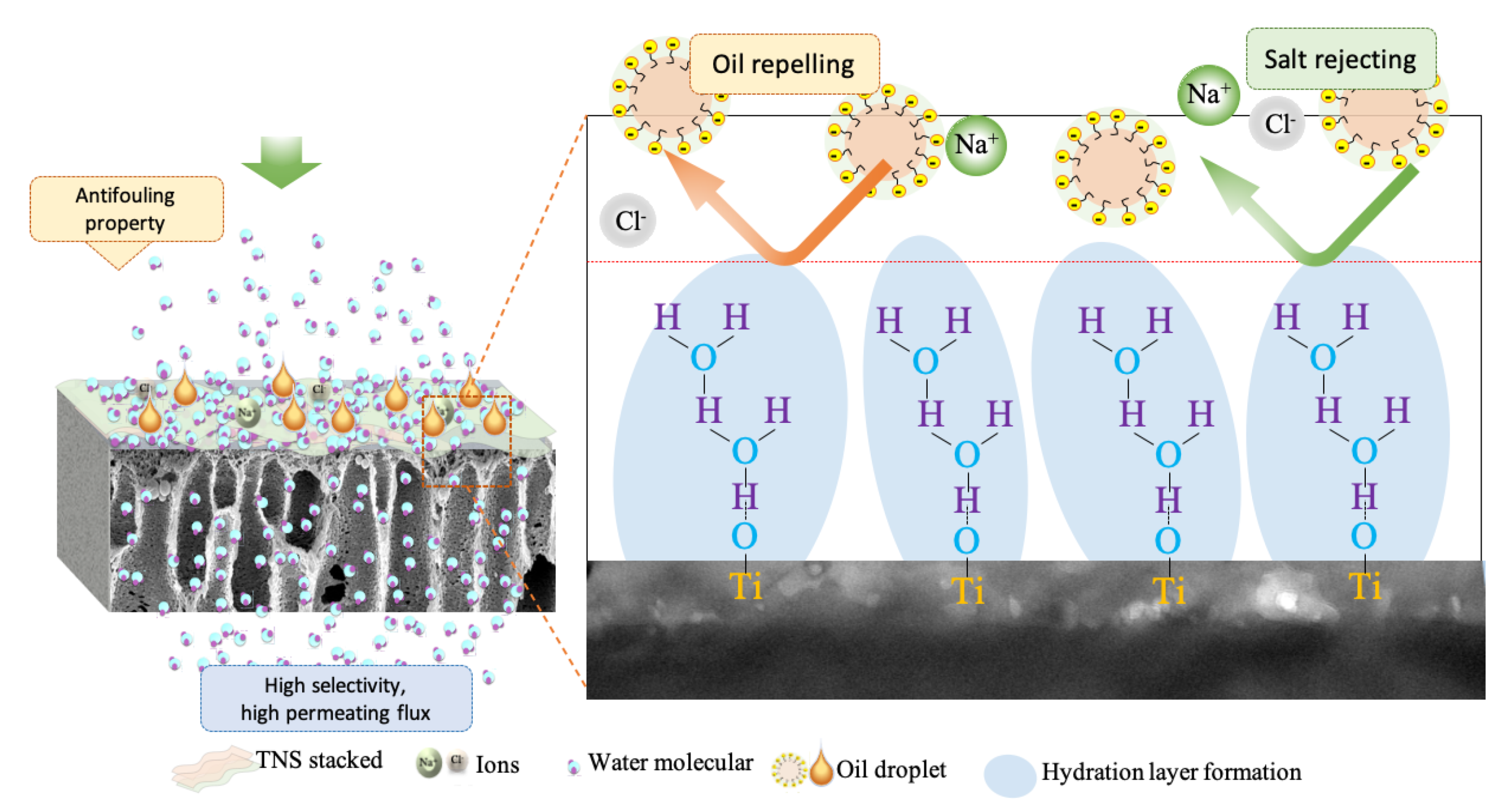 Membranes 10 00237 g007