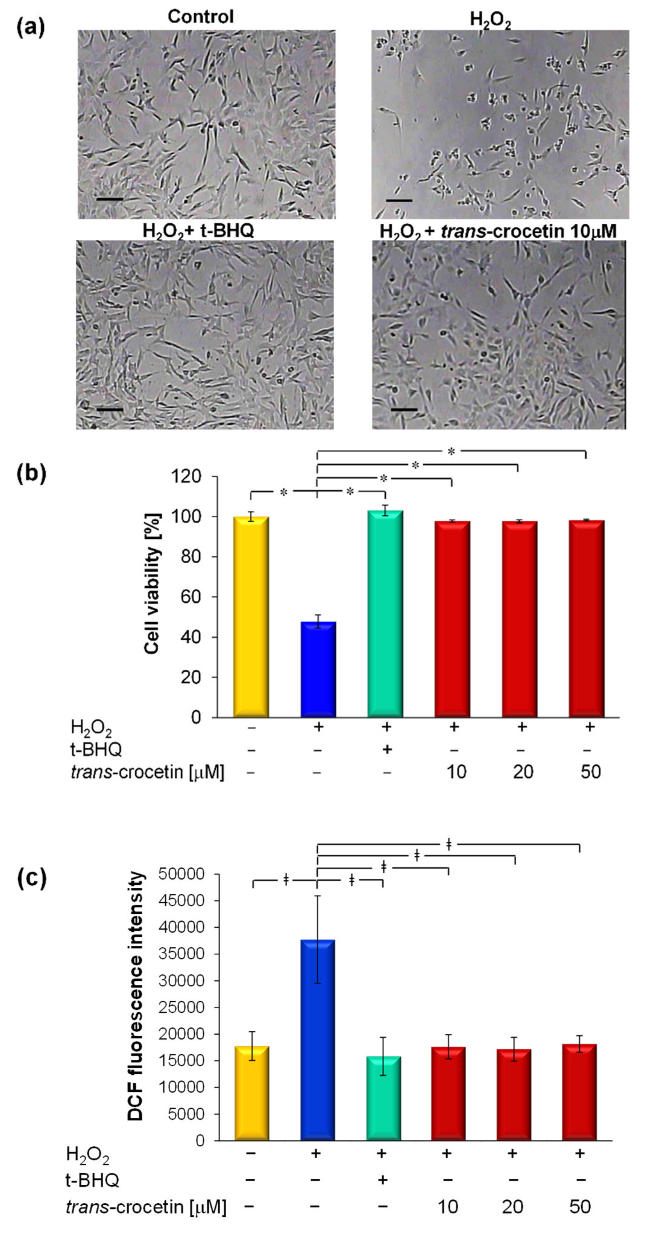 Membranes 11 00112 g003
