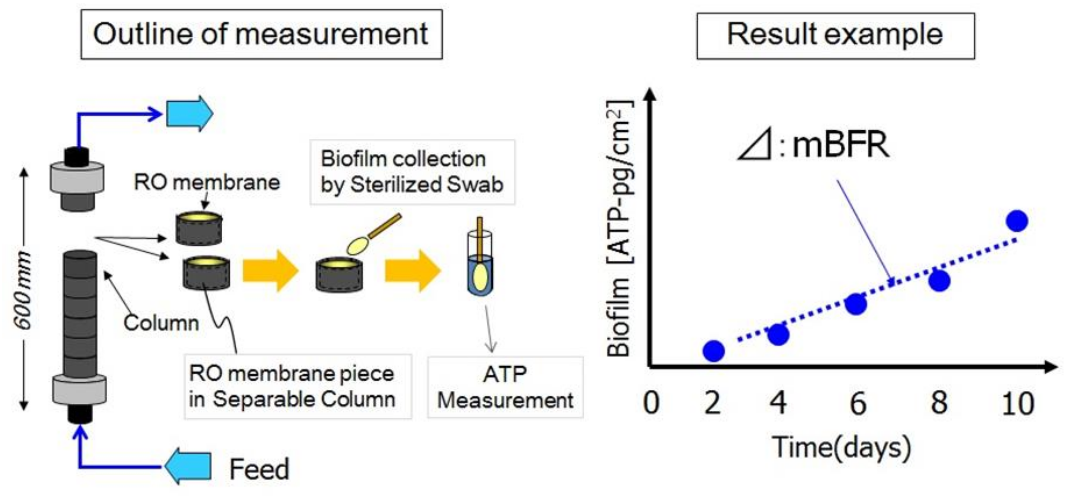 Membranes 11 00138 g002