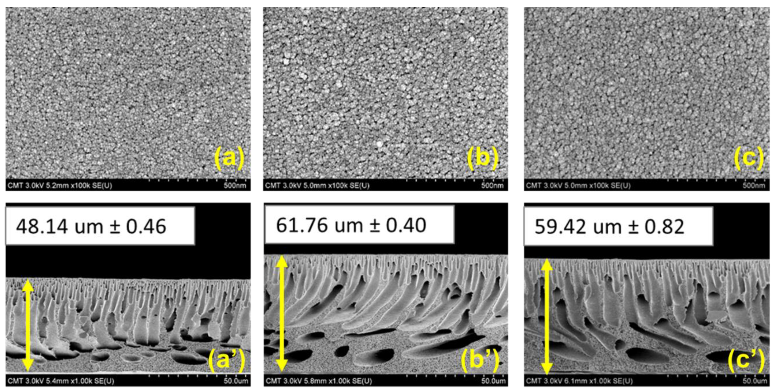 Membranes 11 00216 g004