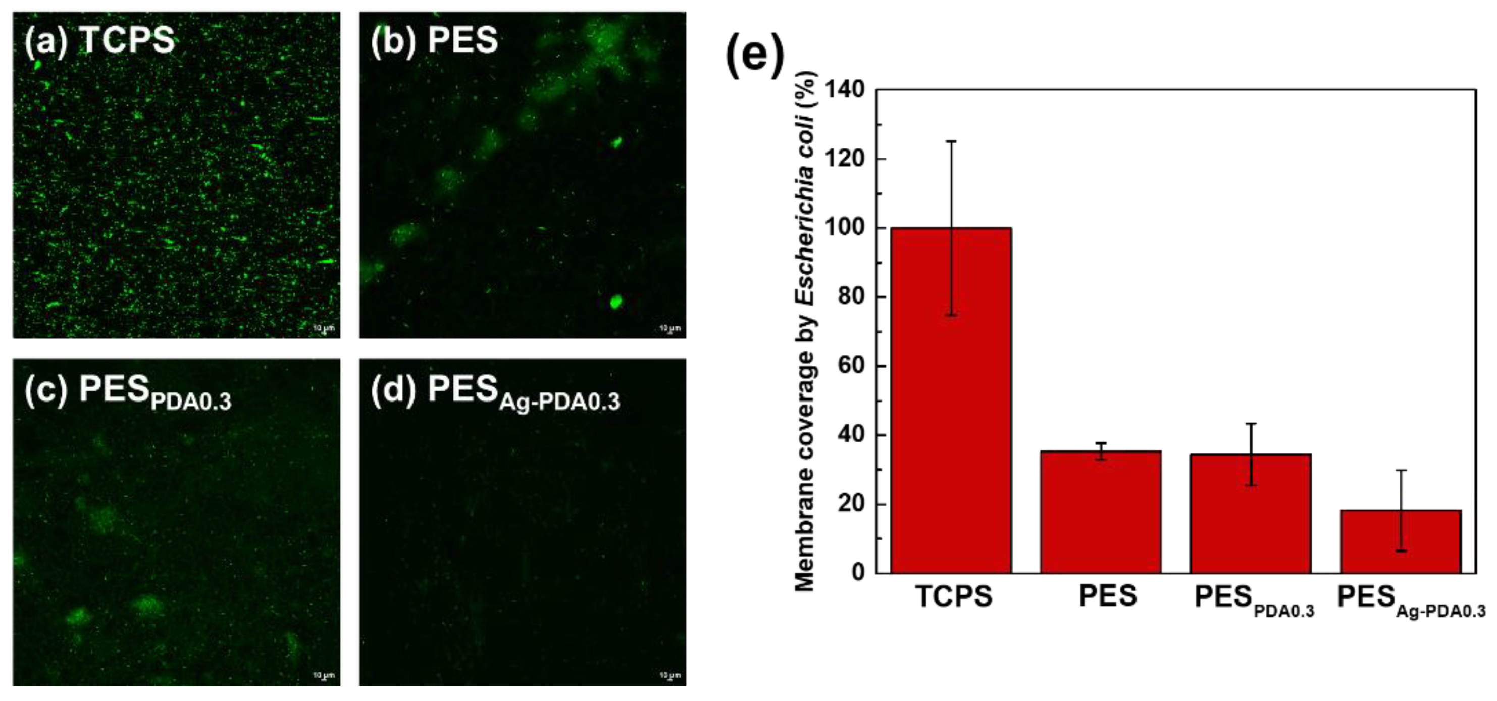 Membranes 11 00216 g010
