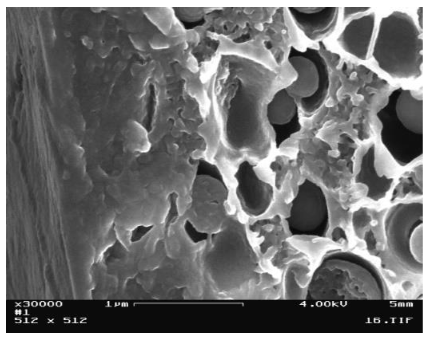 Membranes 11 00292 g008