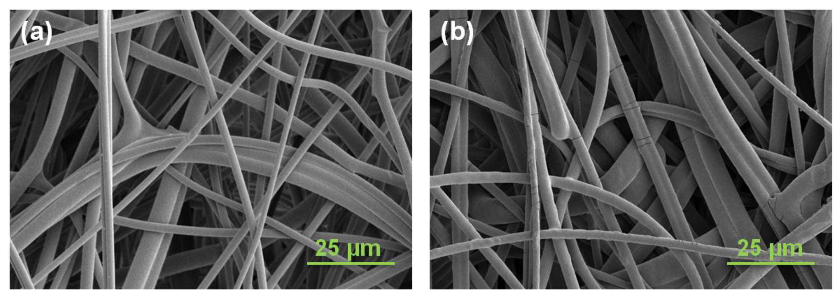 Membranes 11 00530 g003