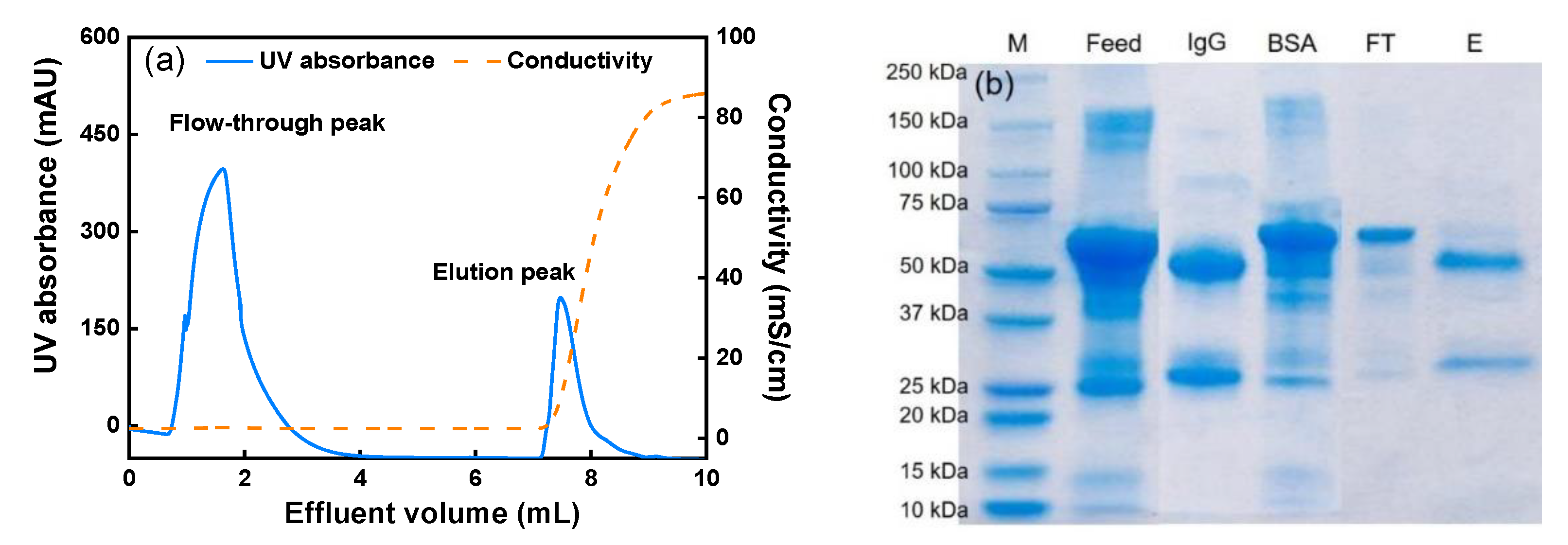 Membranes 11 00530 g007