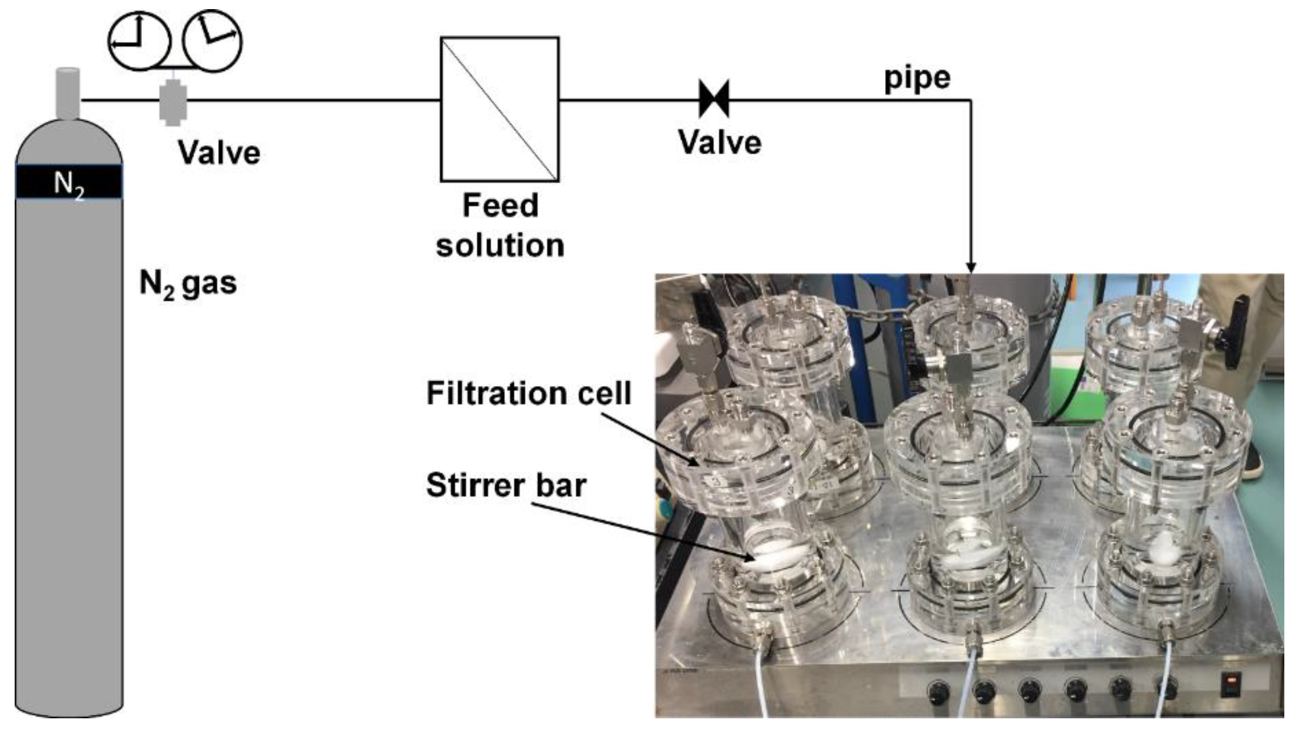 Membranes 11 00628 g001
