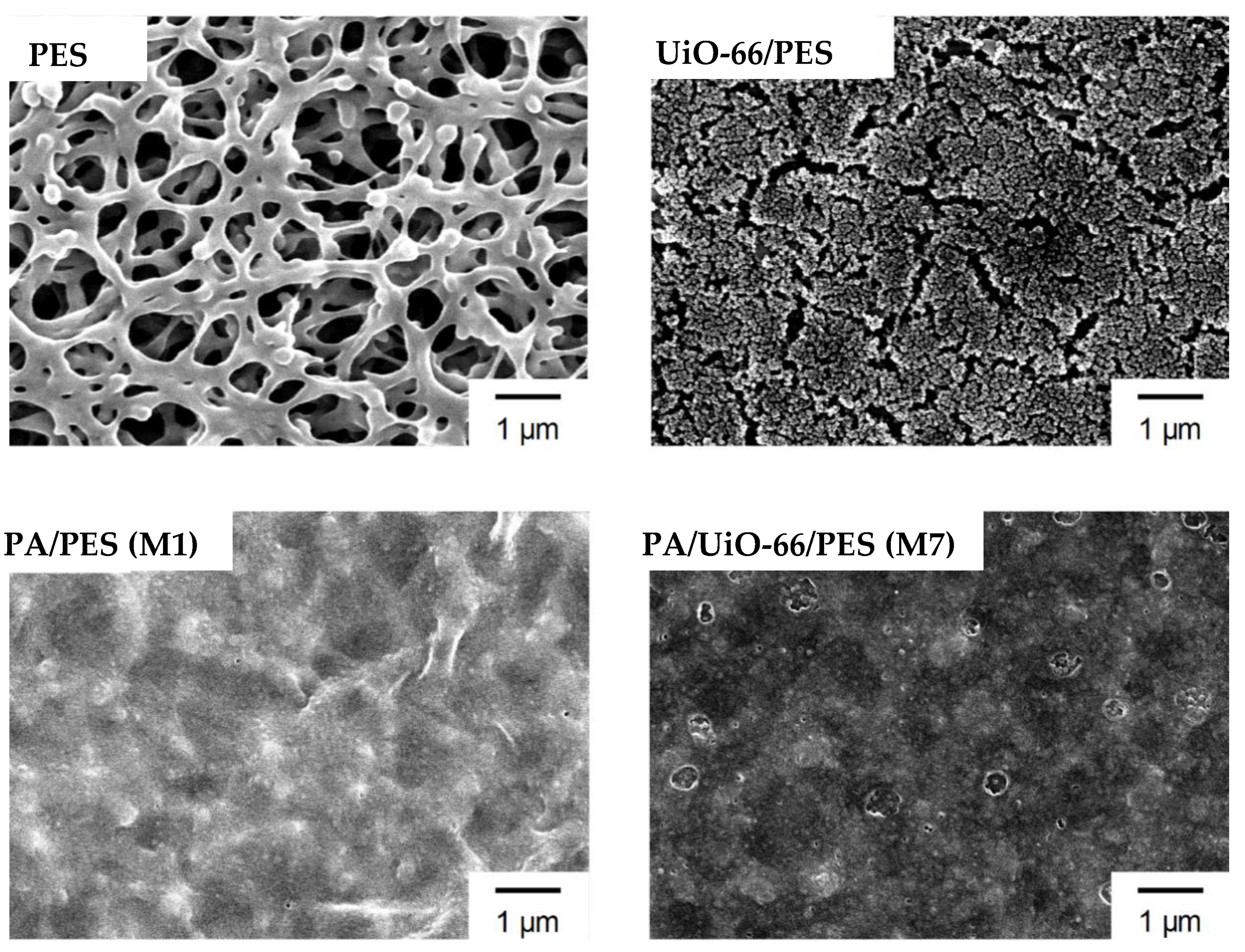 Membranes 11 00628 g003