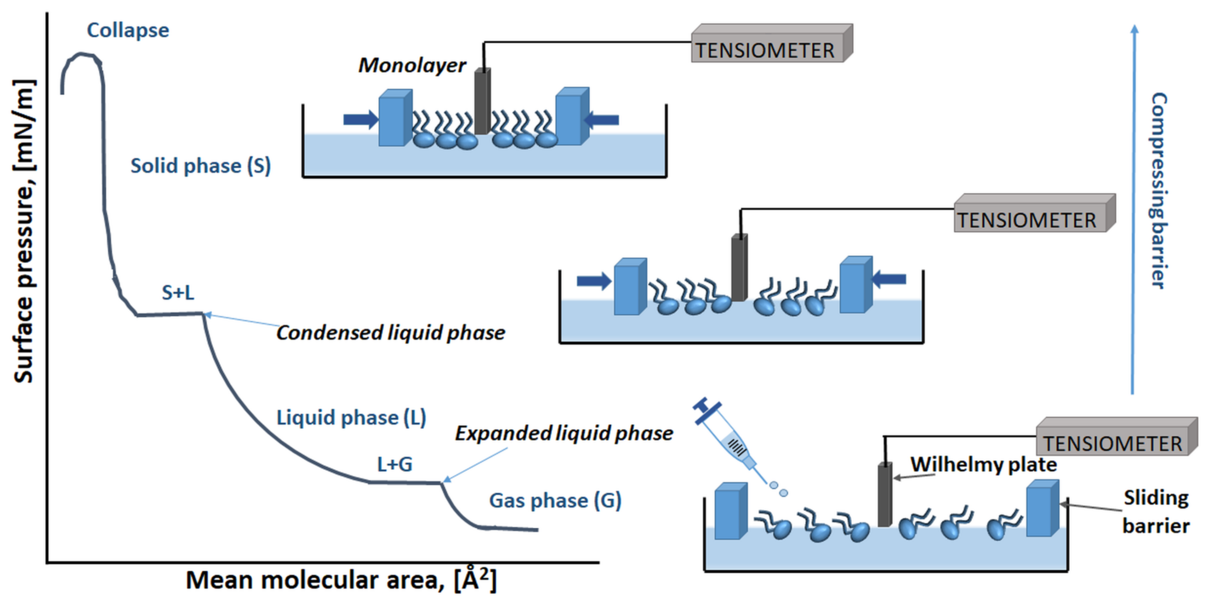 Membranes 11 00707 g003