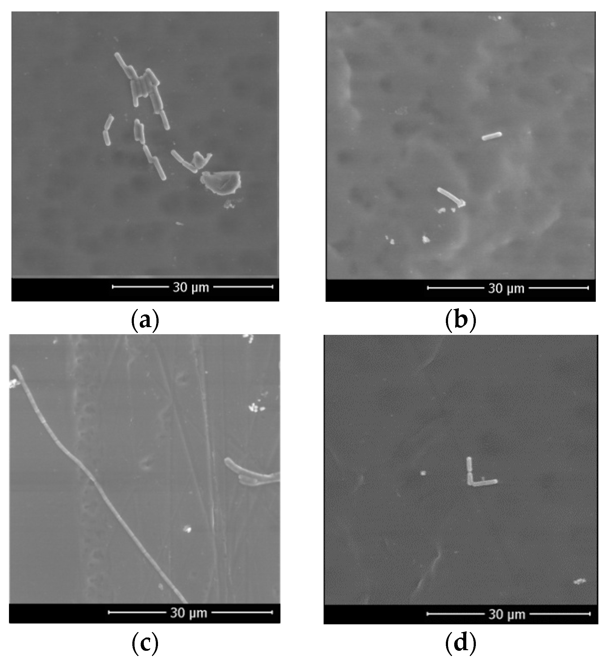 Membranes 11 00748 g009