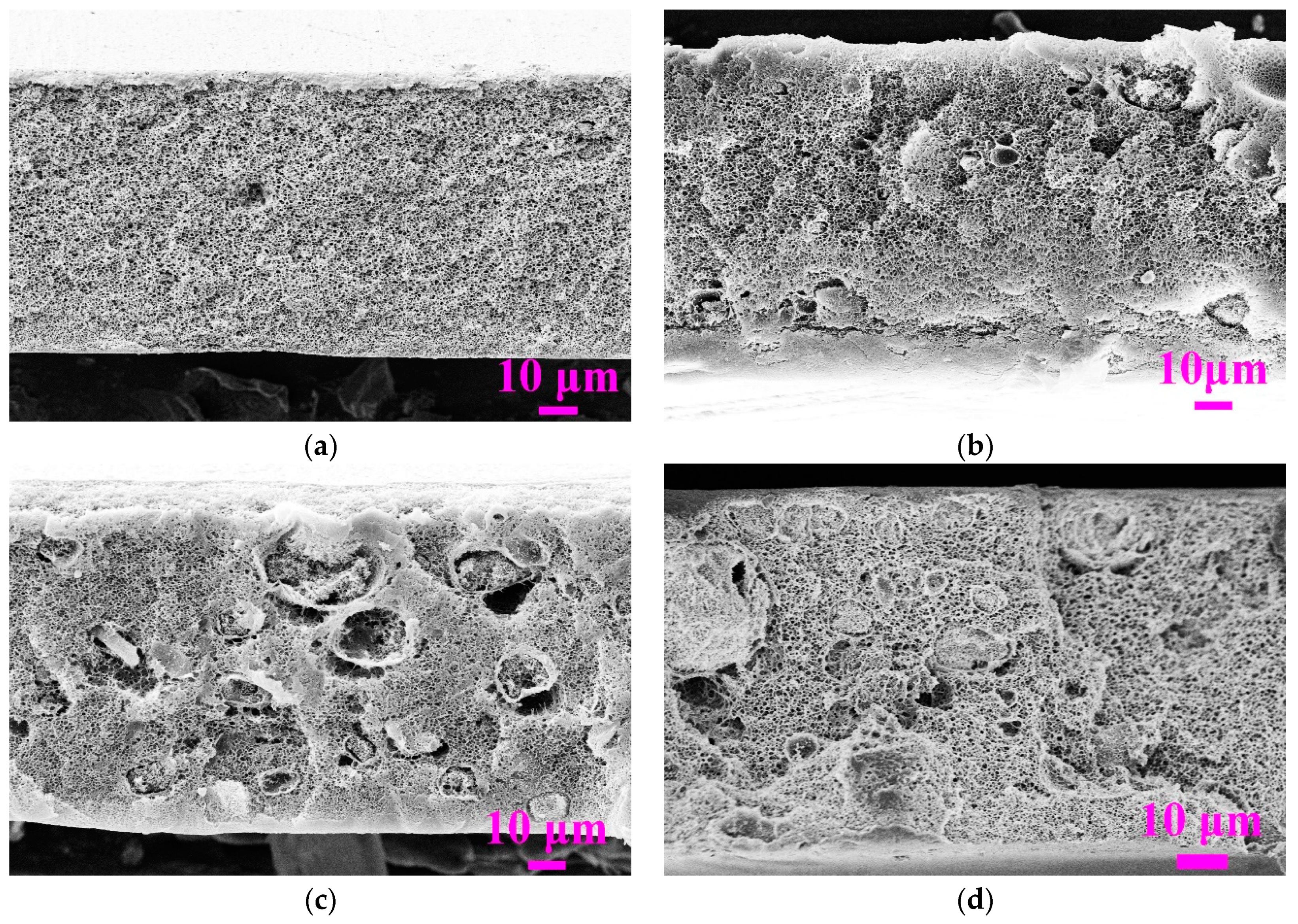 Membranes 11 00803 g003