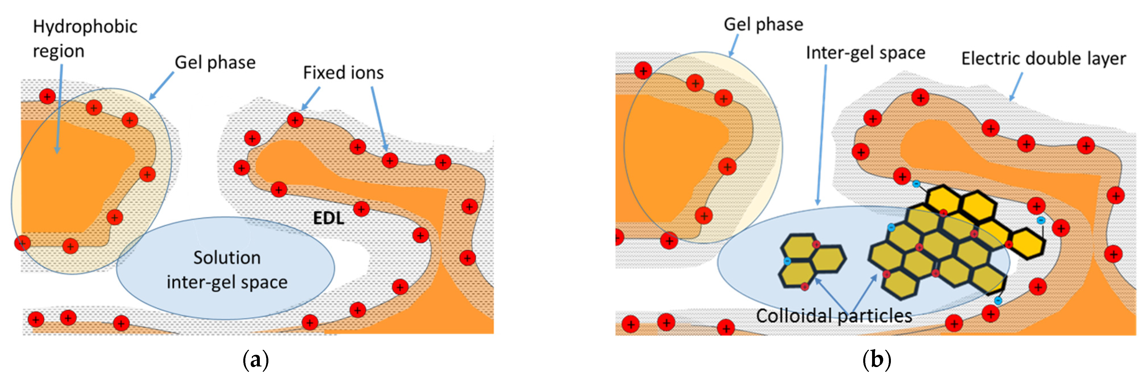 Membranes 11 00811 g003