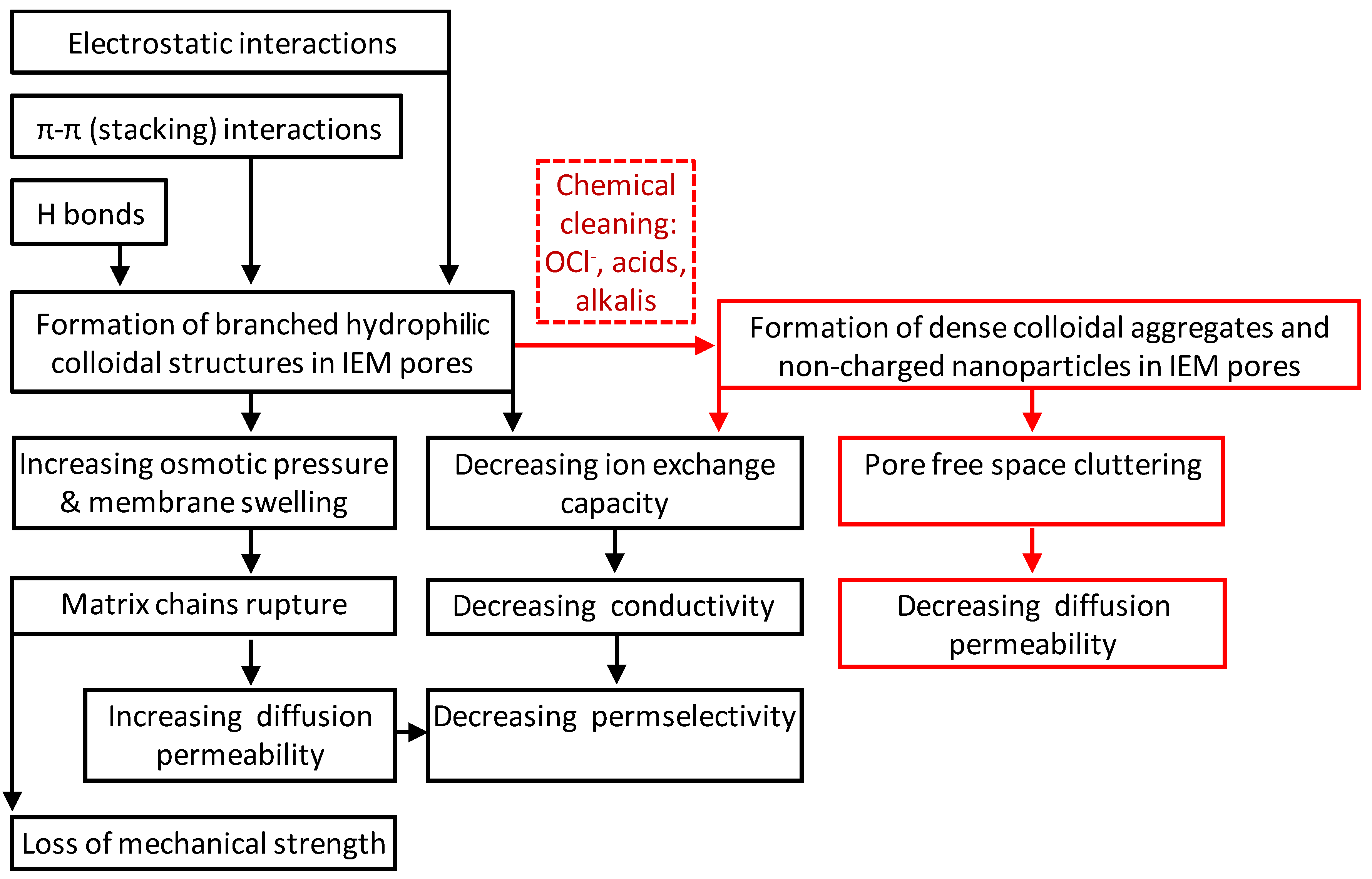 Membranes 11 00811 g005