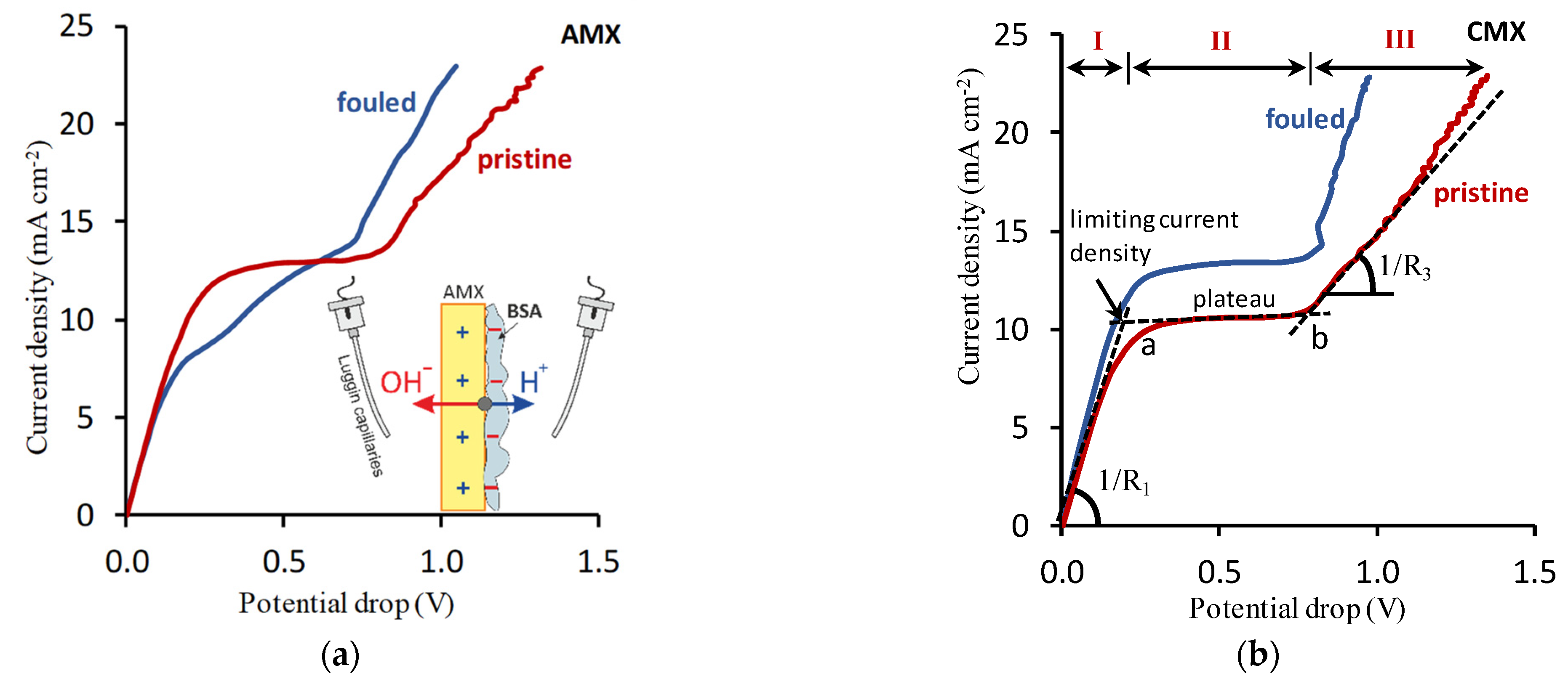 Membranes 11 00811 g006