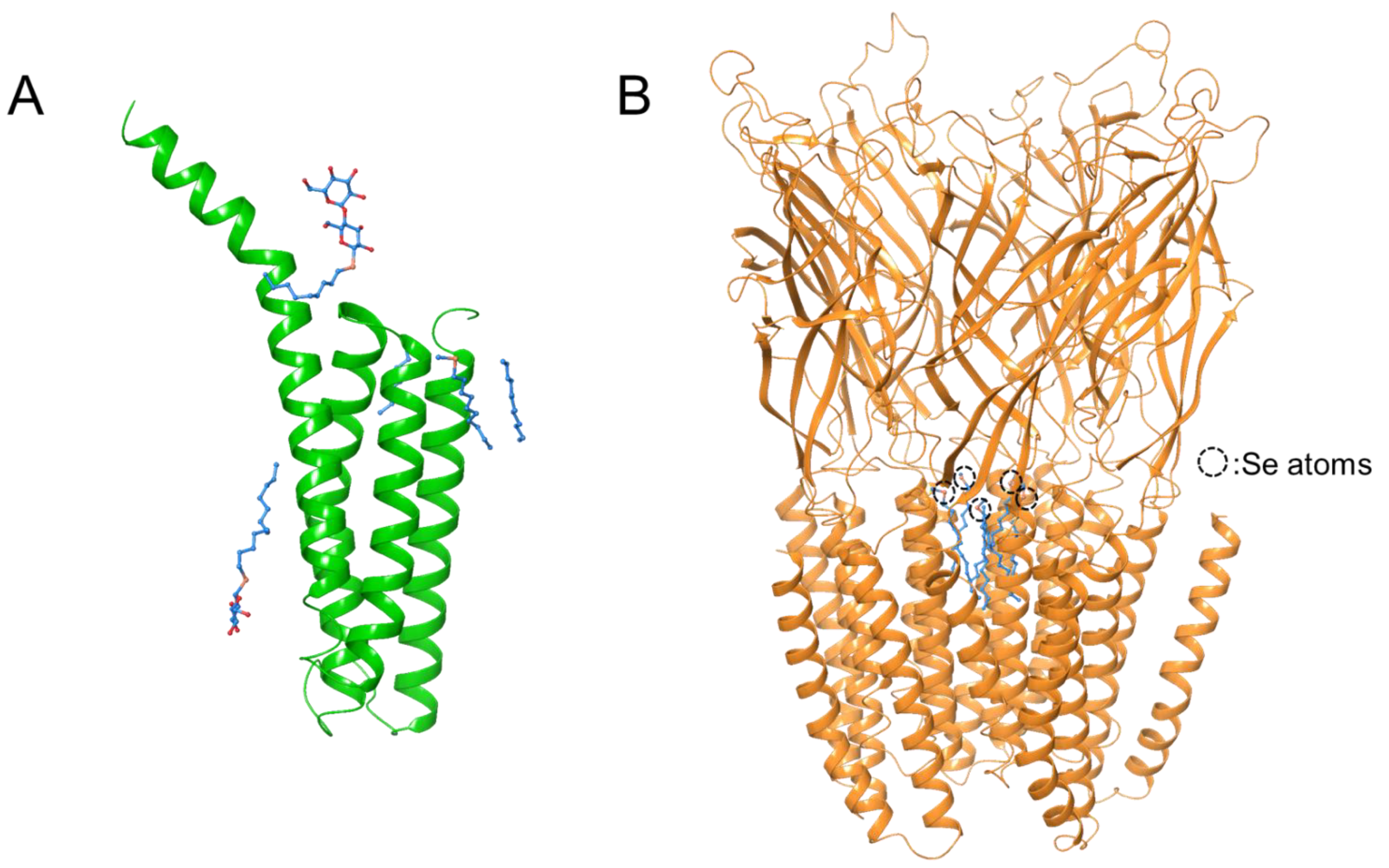 Membranes 11 00823 g005