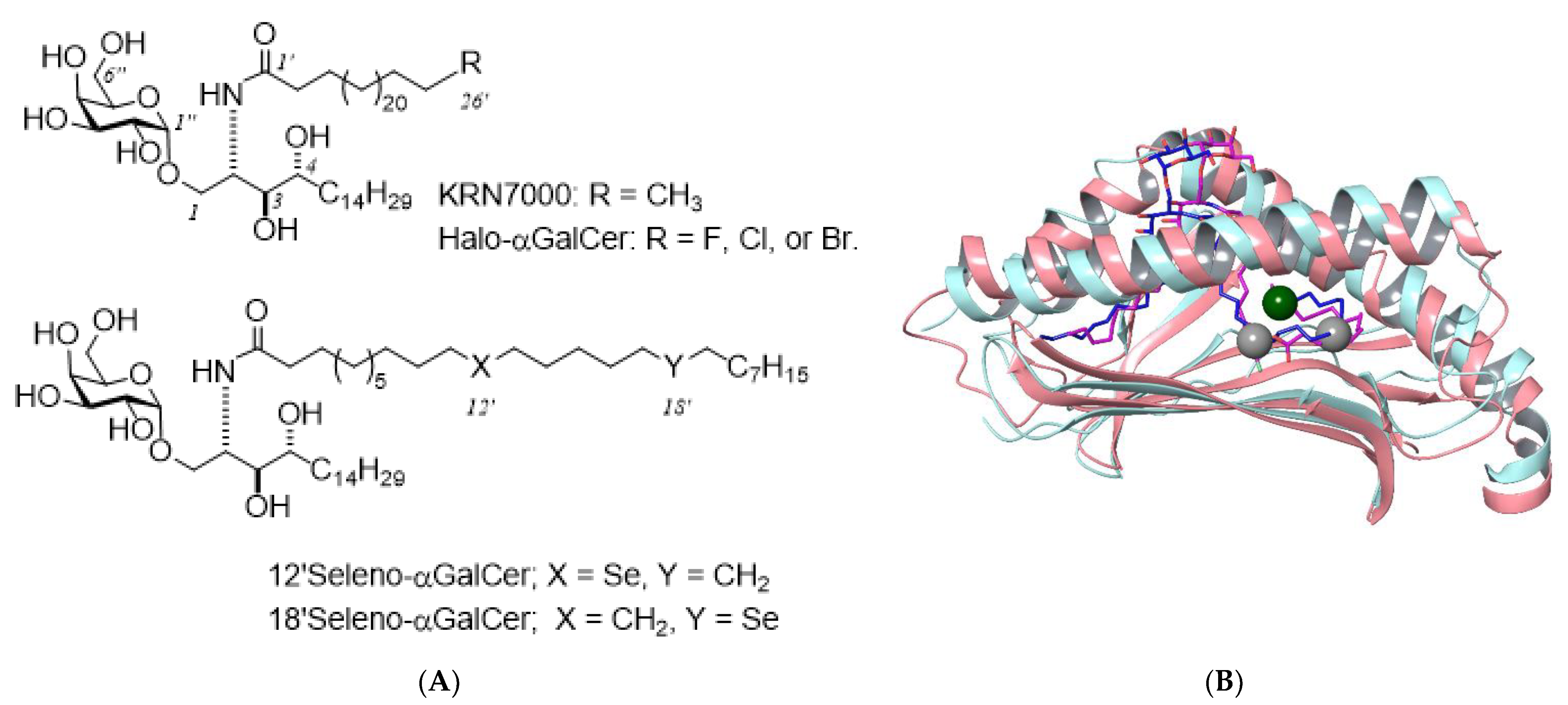 Membranes 11 00823 g006