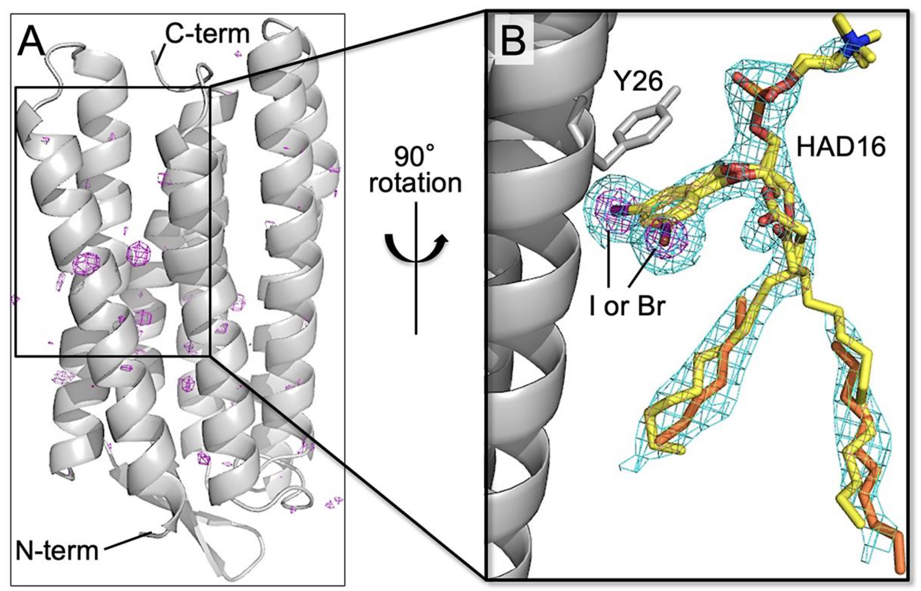 Membranes 11 00823 g008