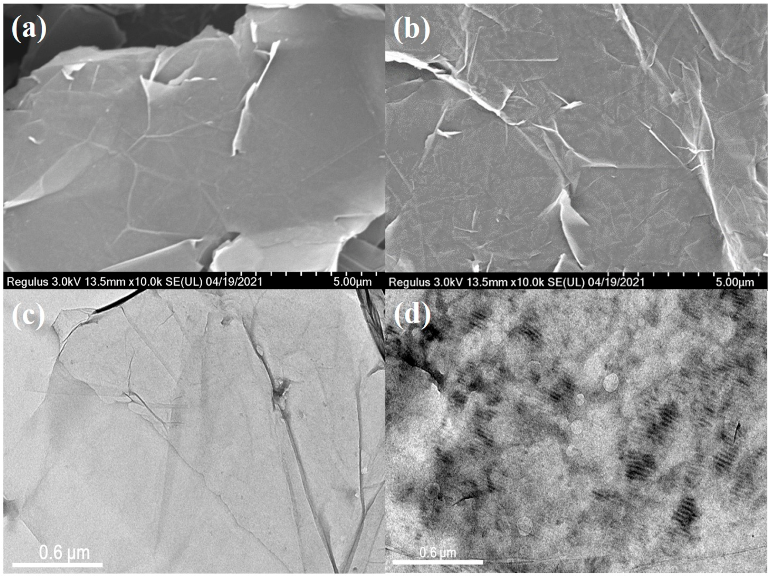 Membranes 11 00895 g006