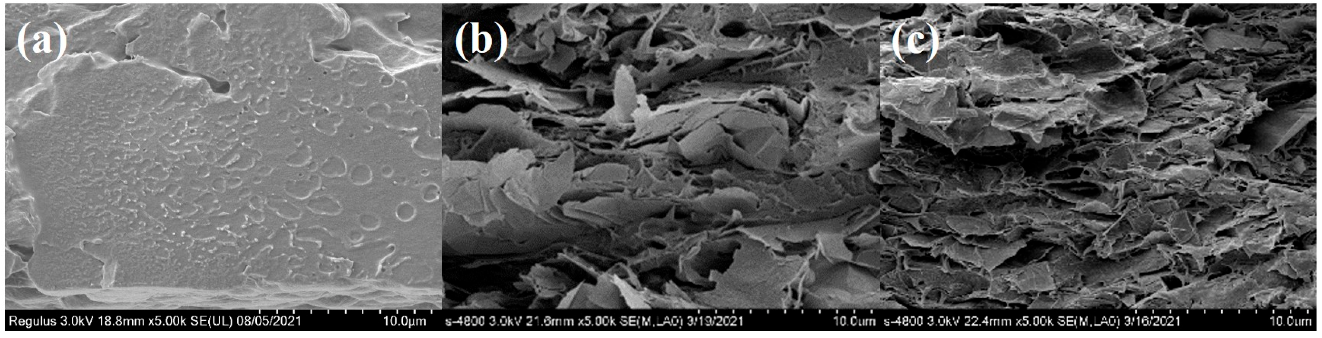 Membranes 11 00895 g007
