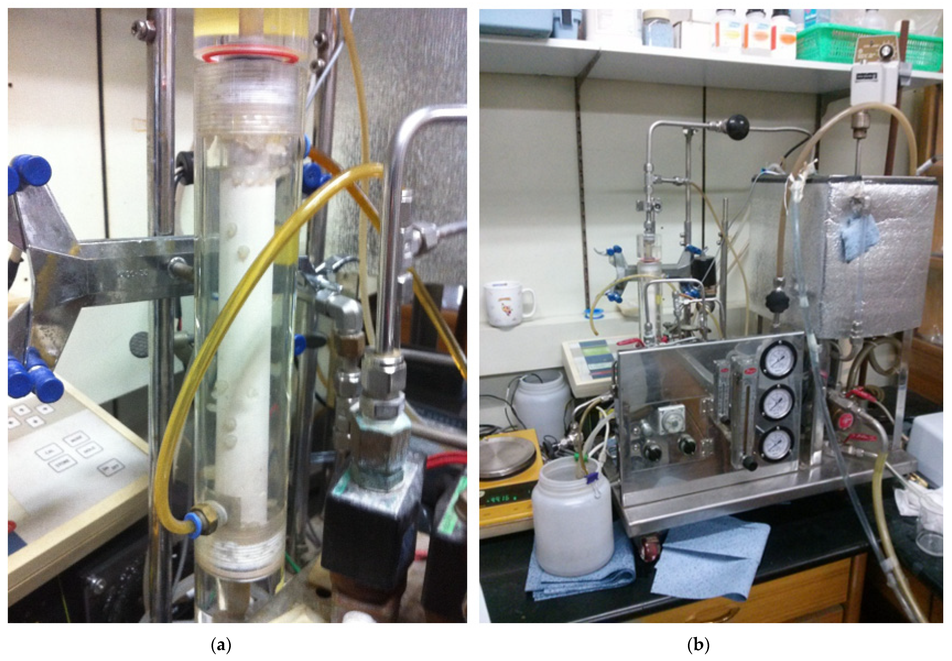 Membranes 12 00092 g002