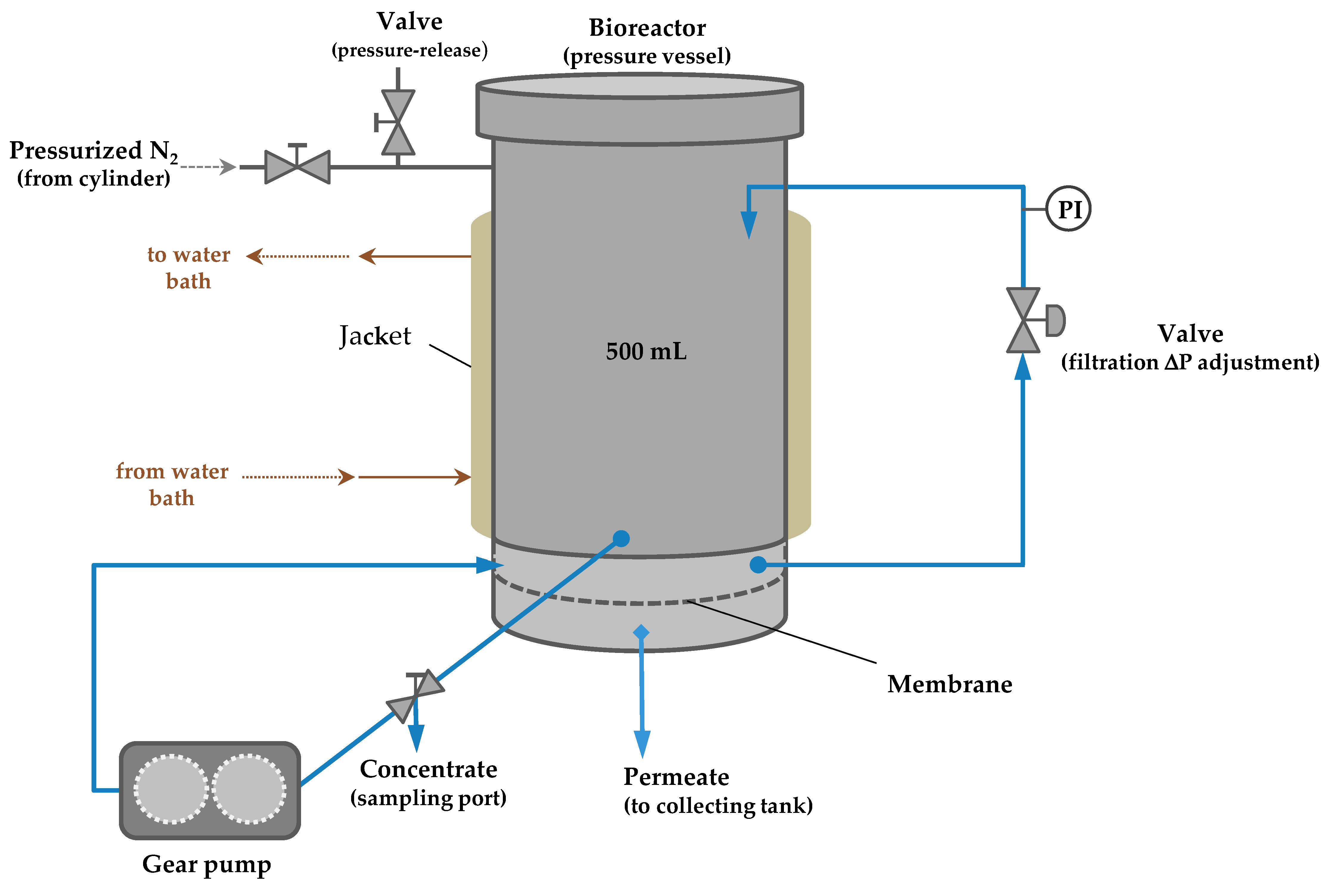 Membranes 12 00171 g002