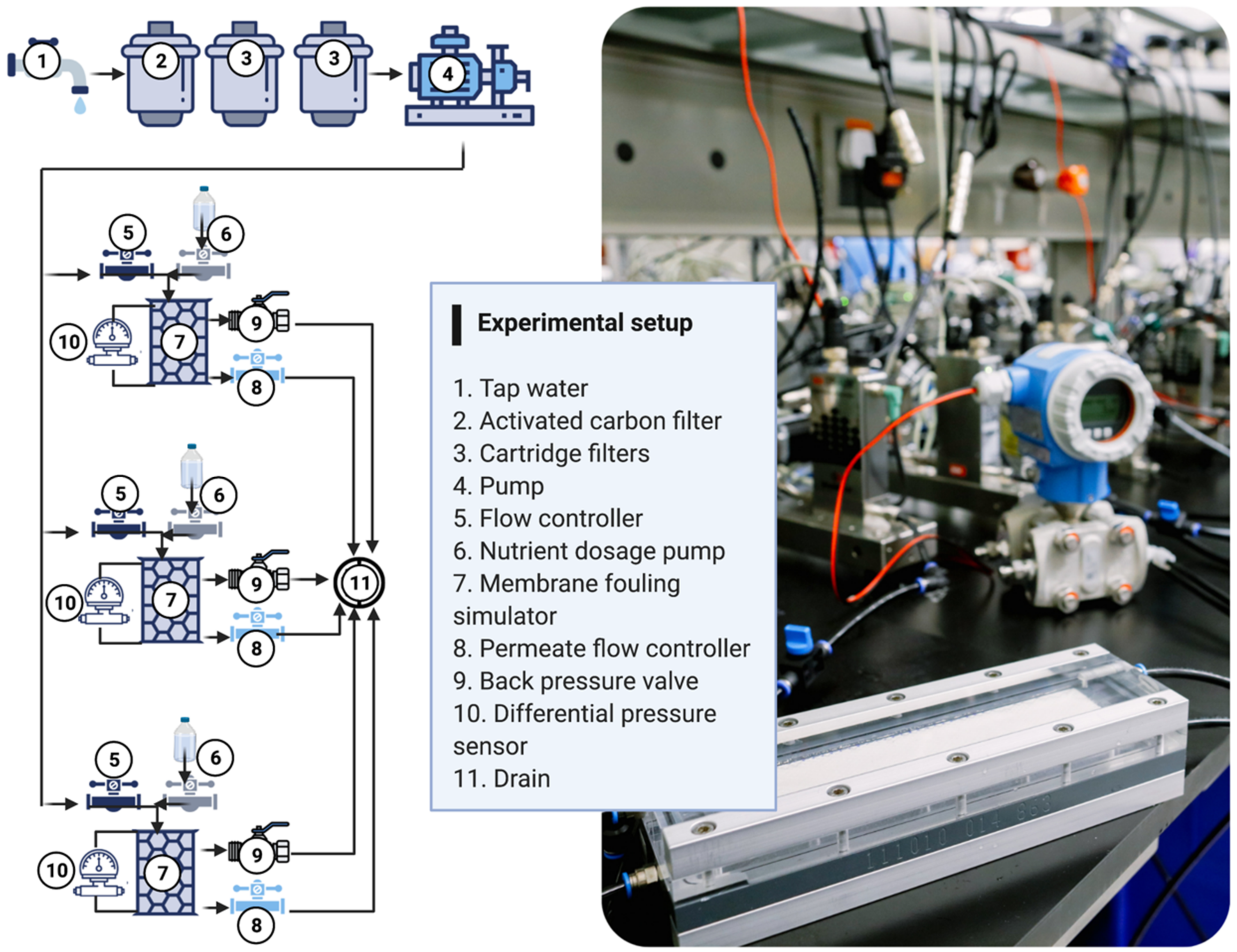 Membranes 12 00335 g002