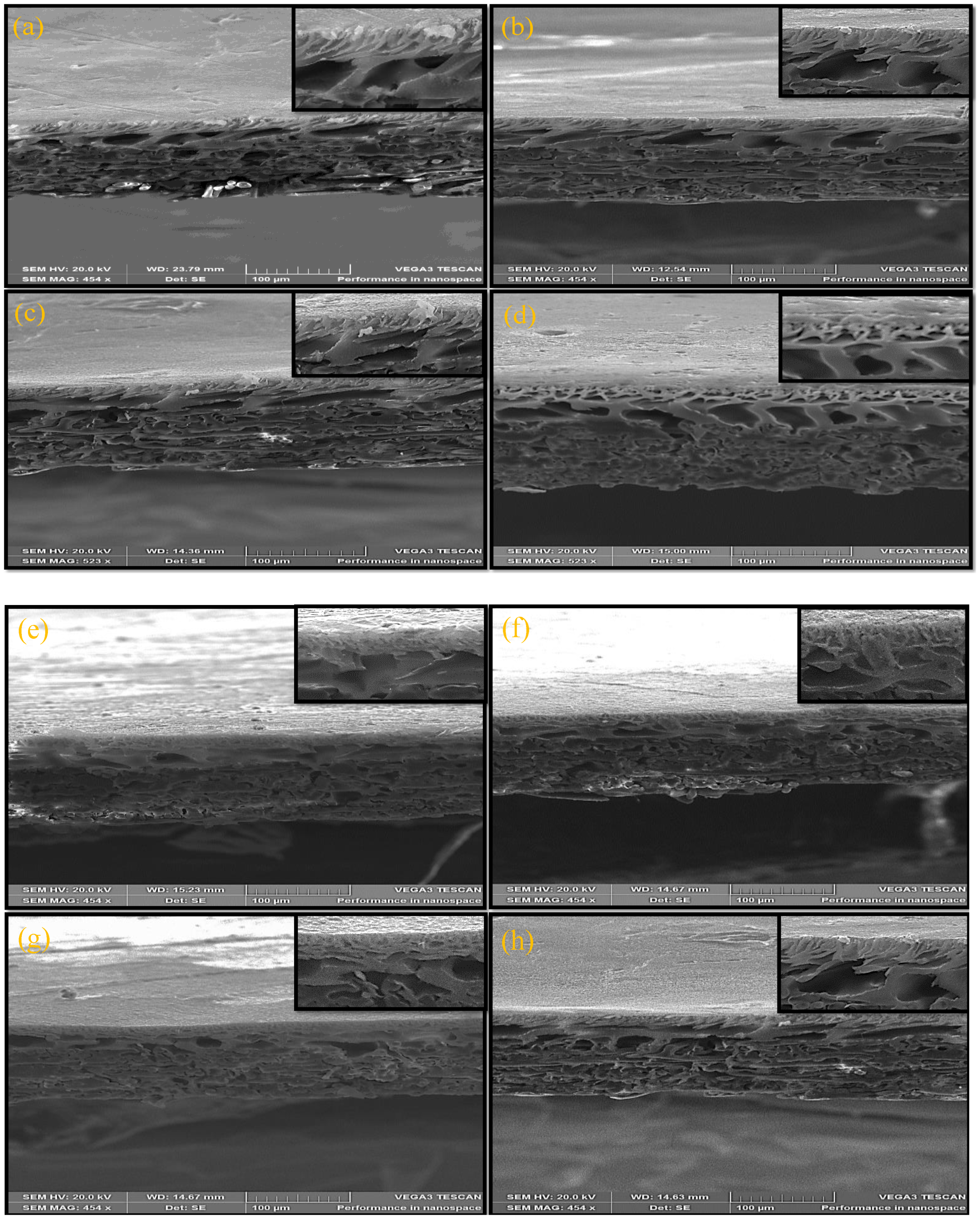 Membranes 12 00436 g010