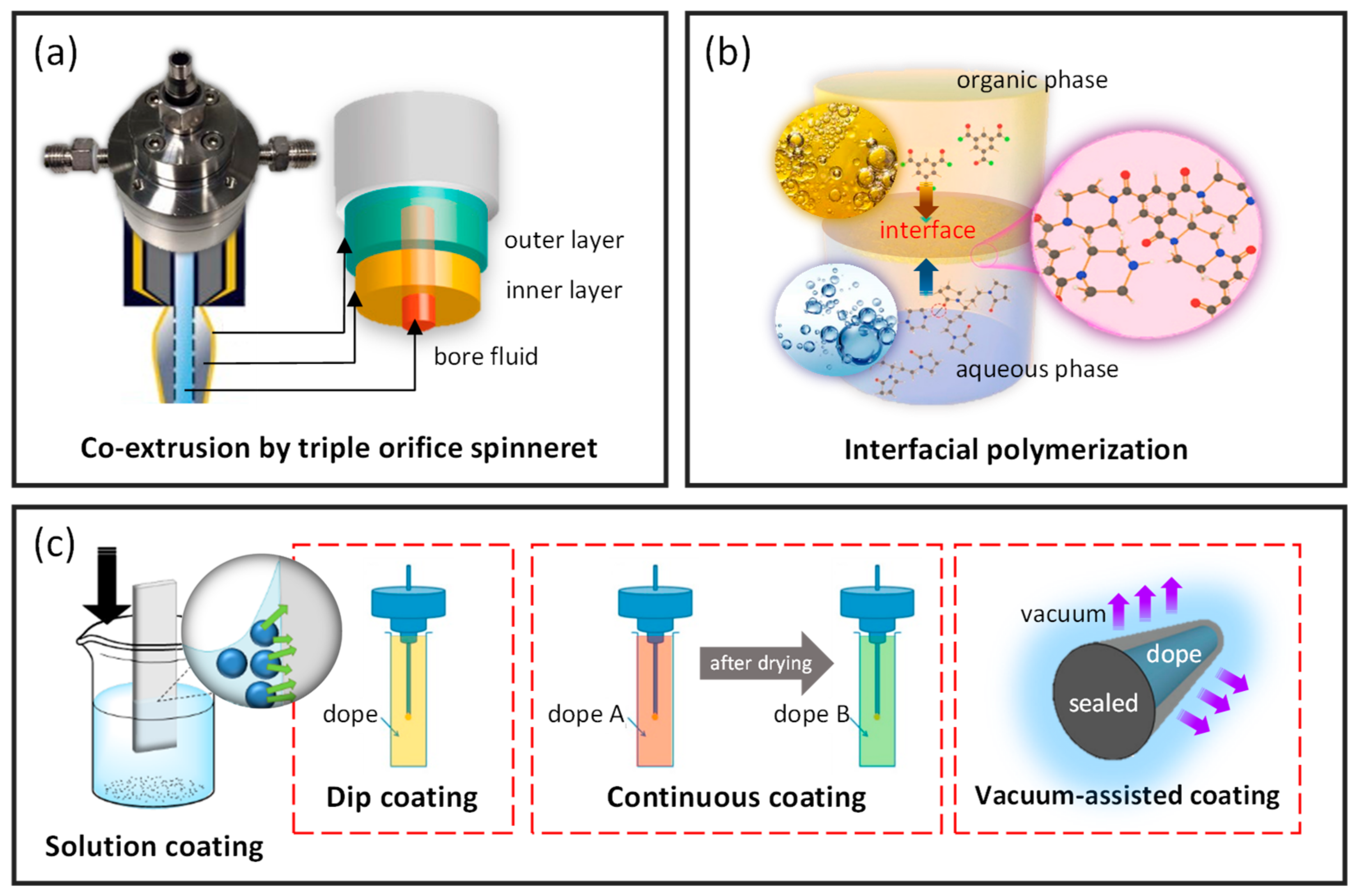 Membranes 12 00539 g008