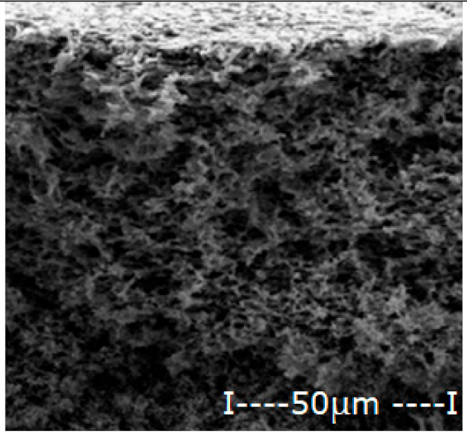 Membranes 12 00557 i006