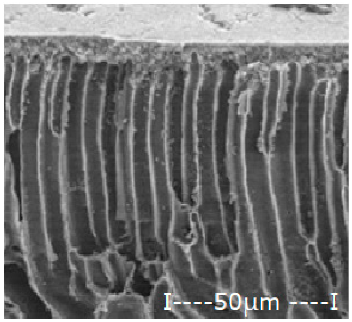 Membranes 12 00557 i008