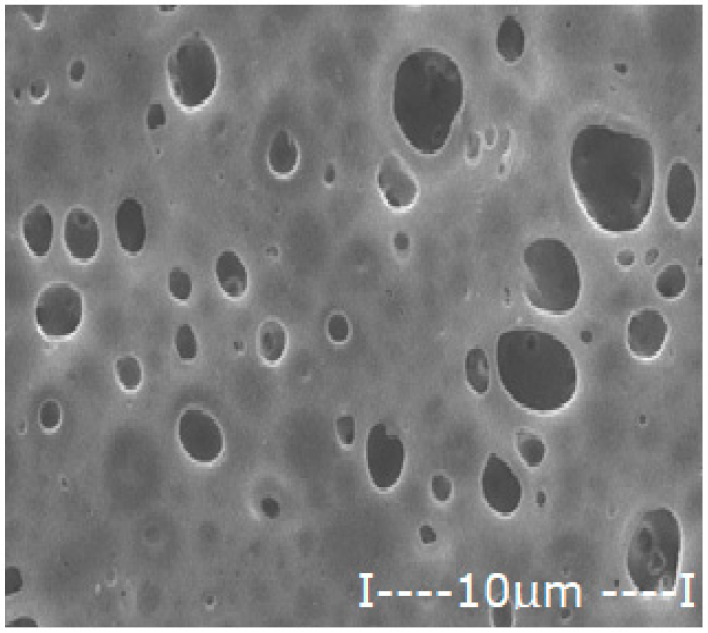 Membranes 12 00557 i009