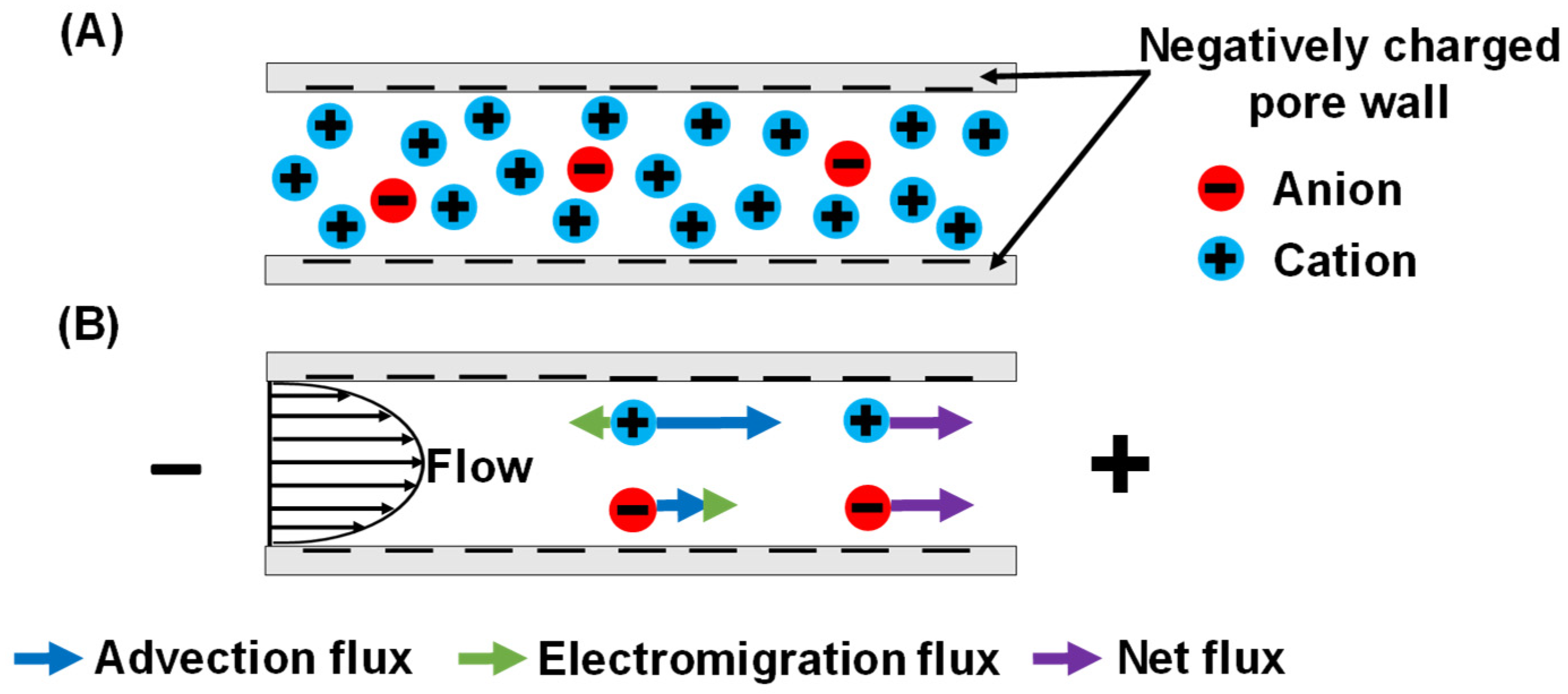 Membranes 12 00631 g001