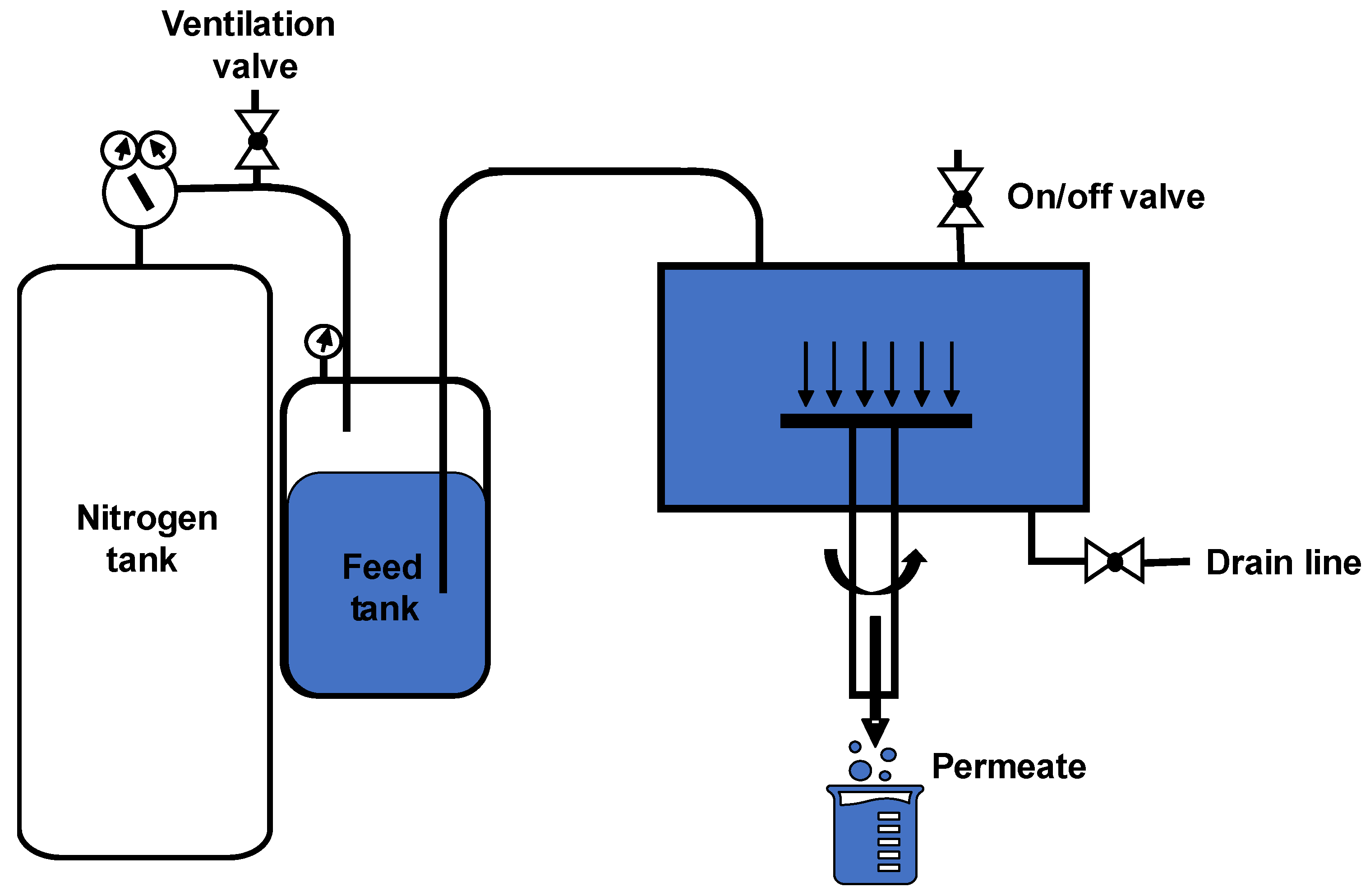 Membranes 12 00631 g004