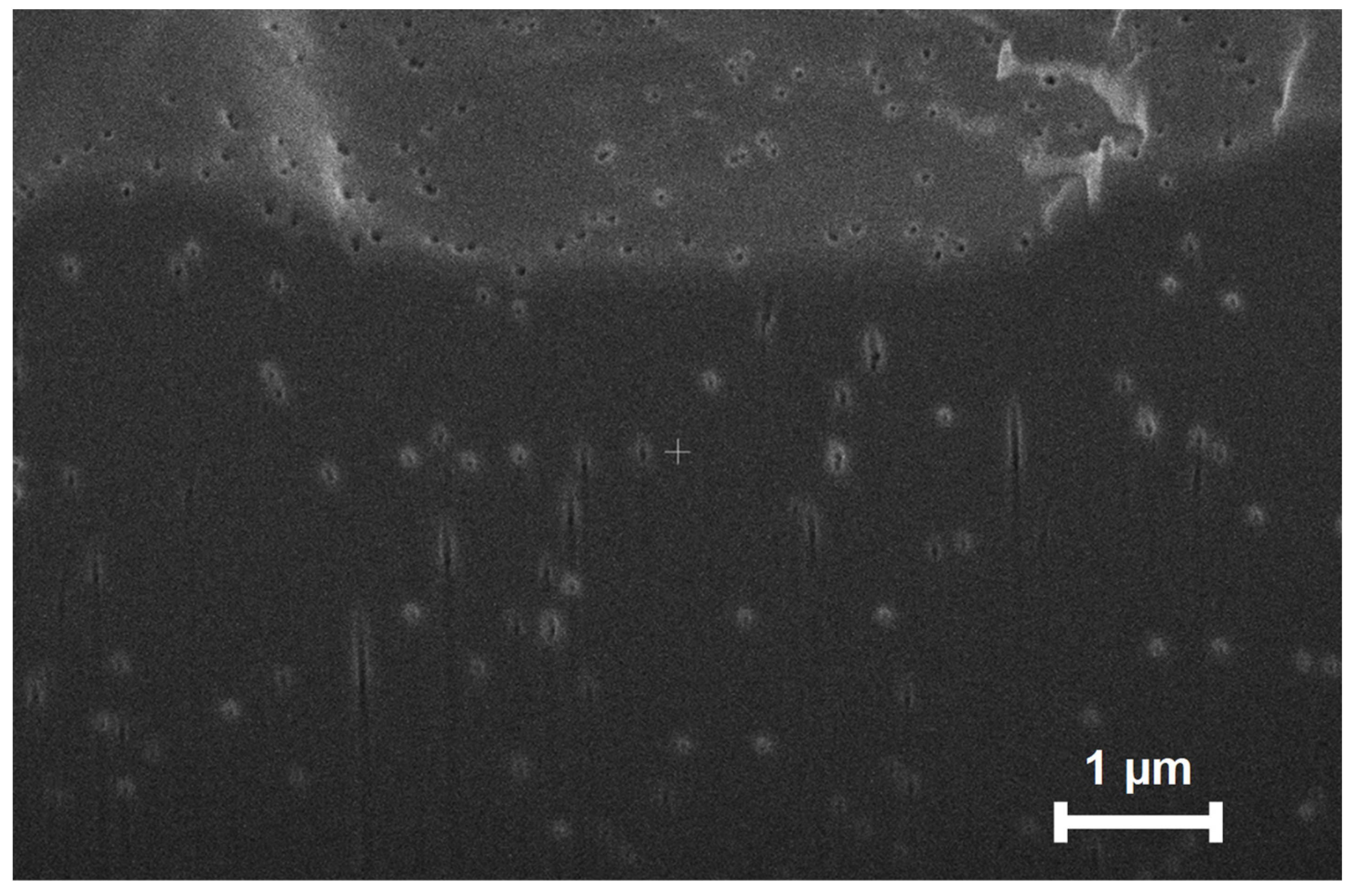 Membranes 12 00631 g005