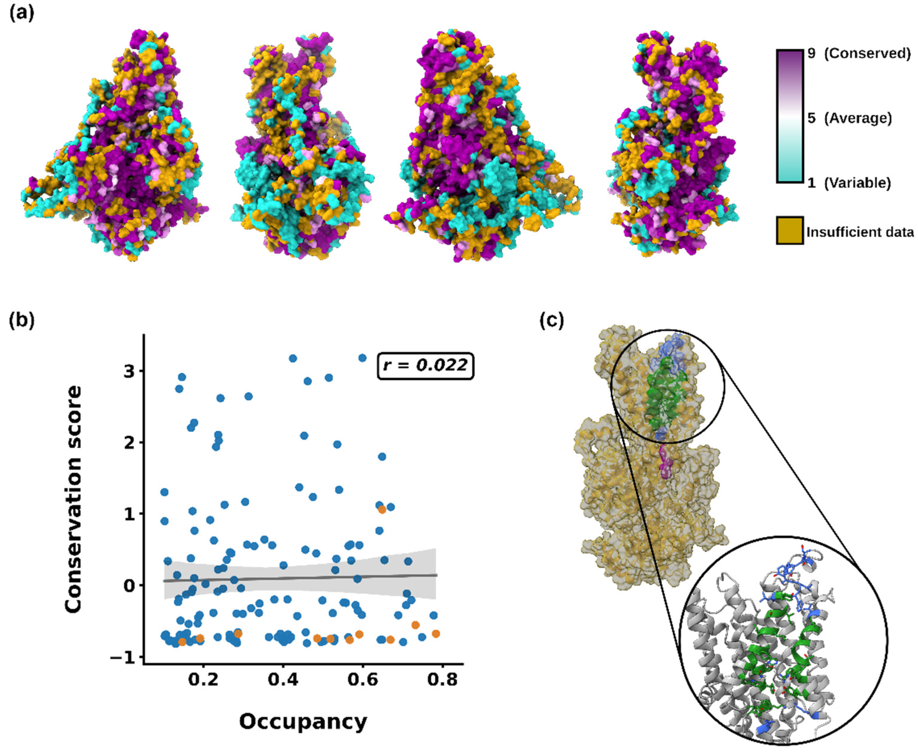 Membranes 12 00702 g004