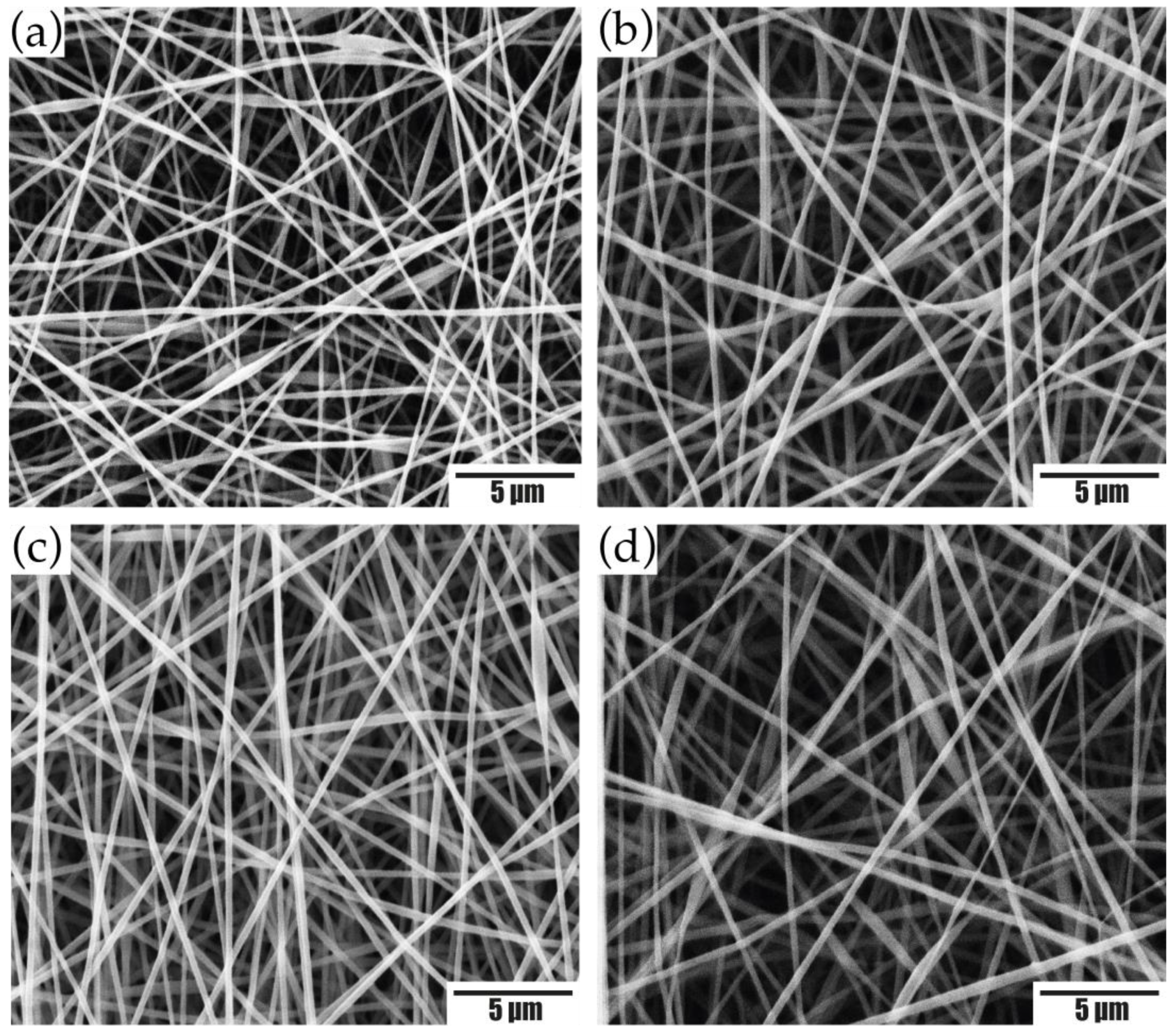 Membranes 12 01154 g002