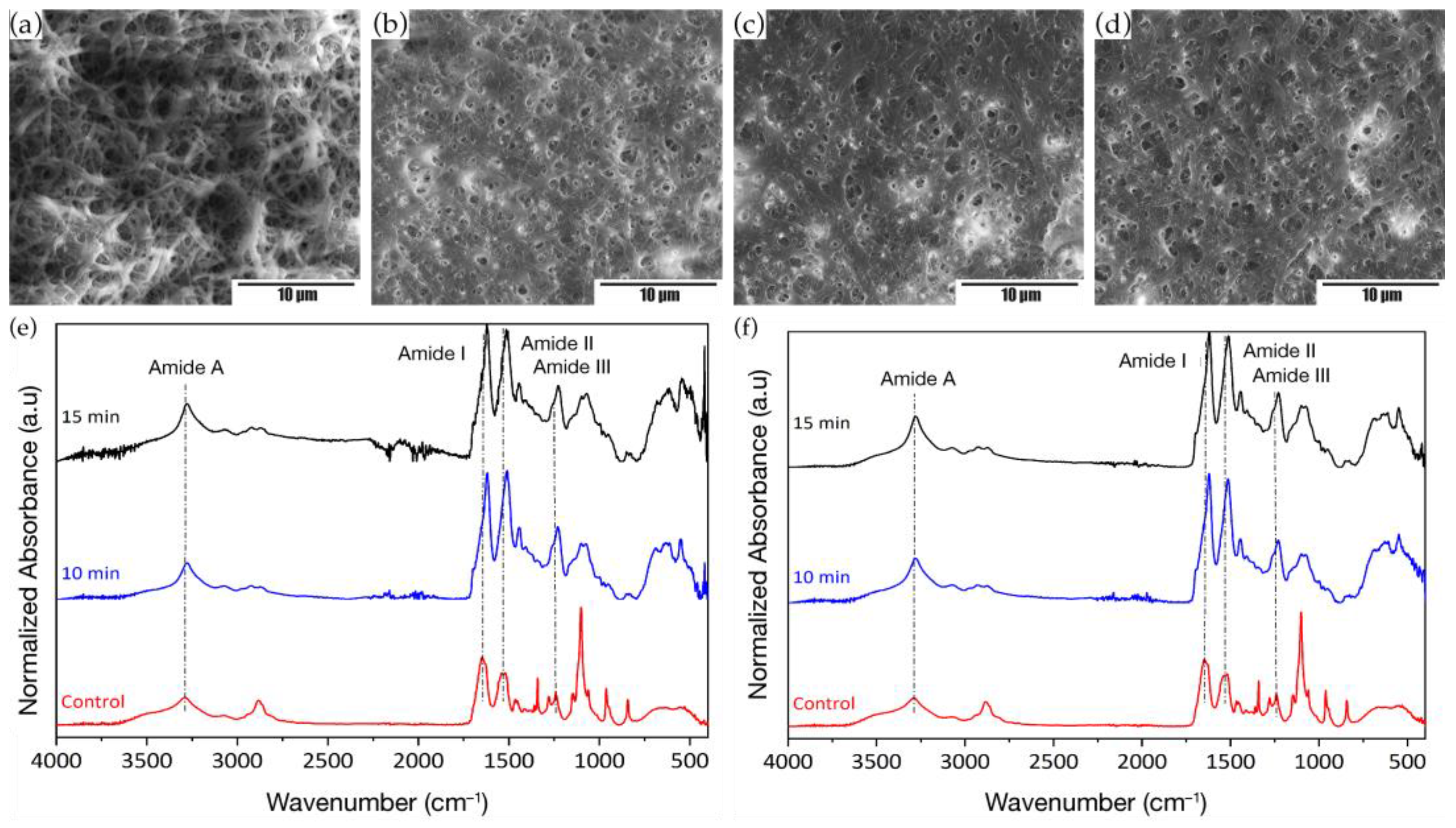 Membranes 12 01154 g003