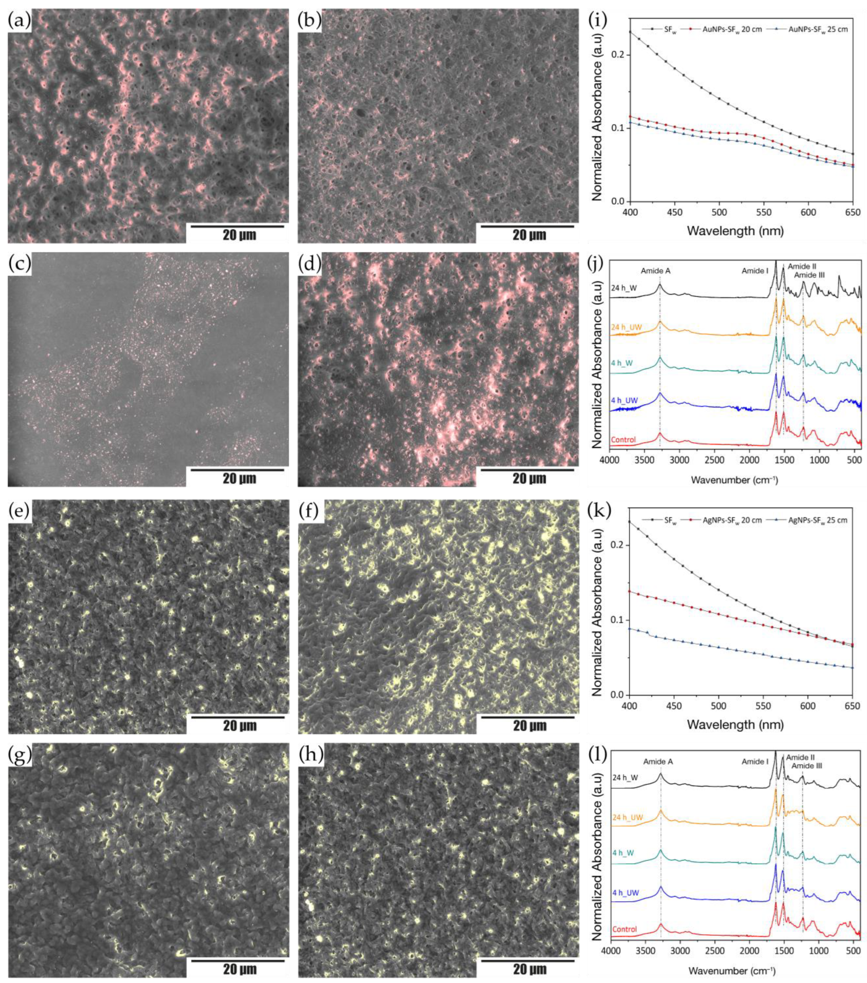 Membranes 12 01154 g004