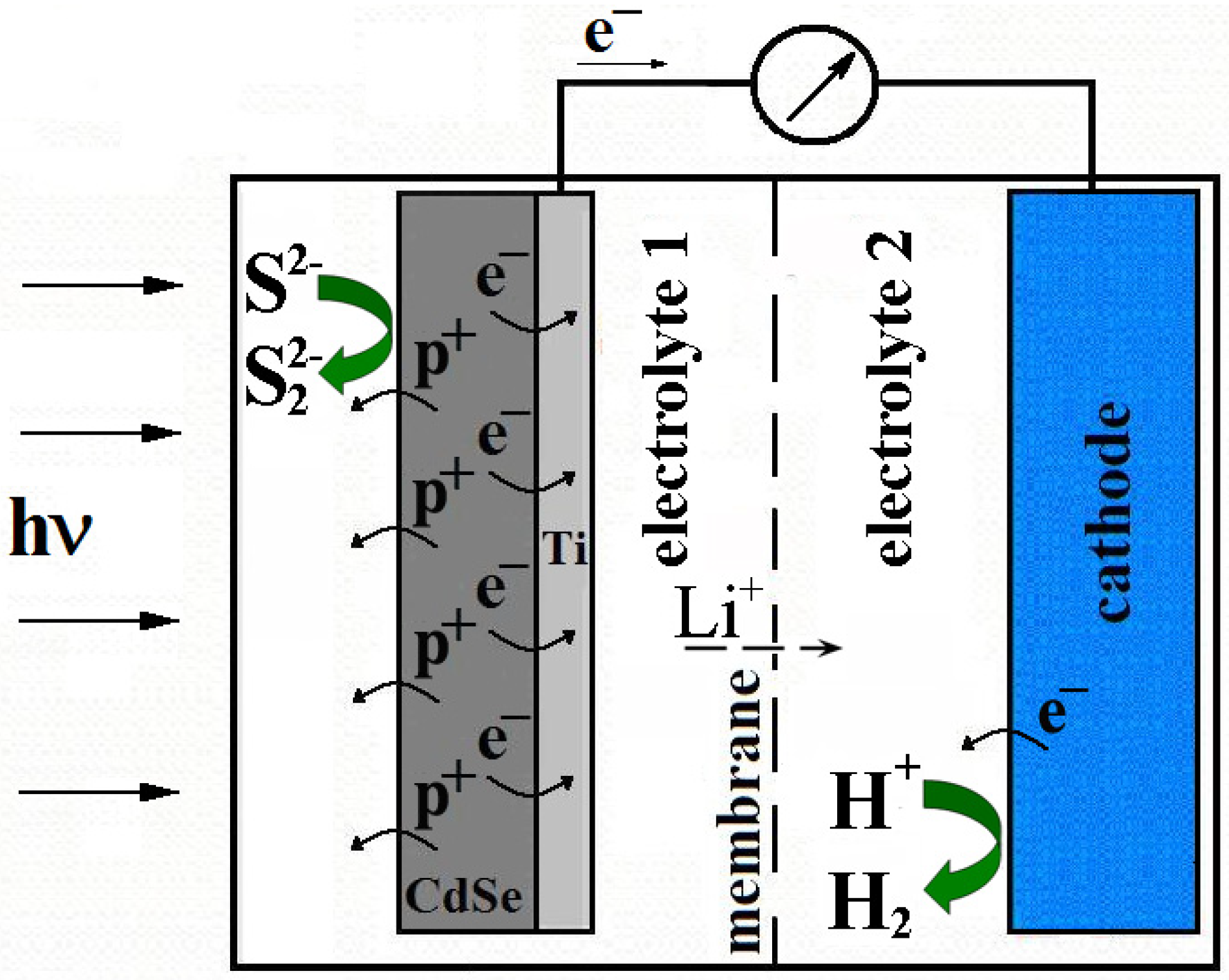 Membranes 12 01189 g001