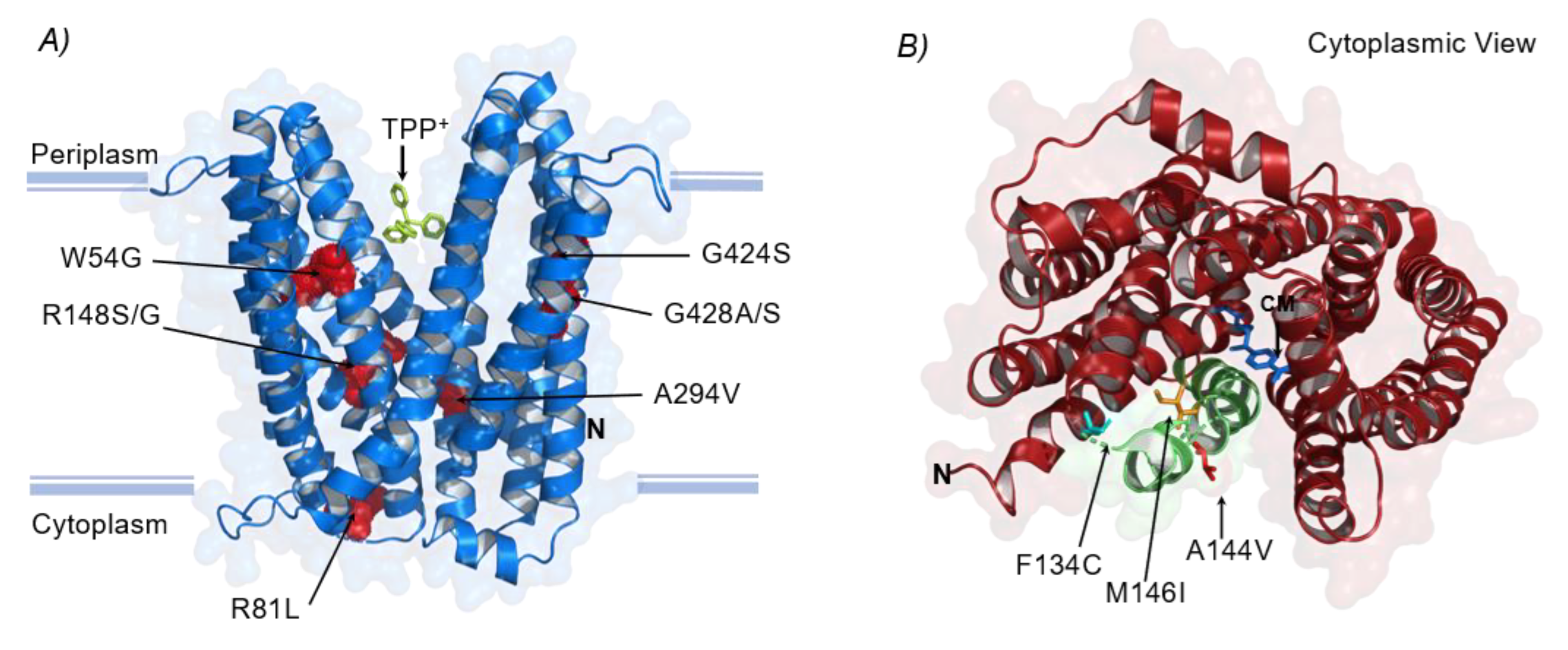 Membranes 12 01264 g006