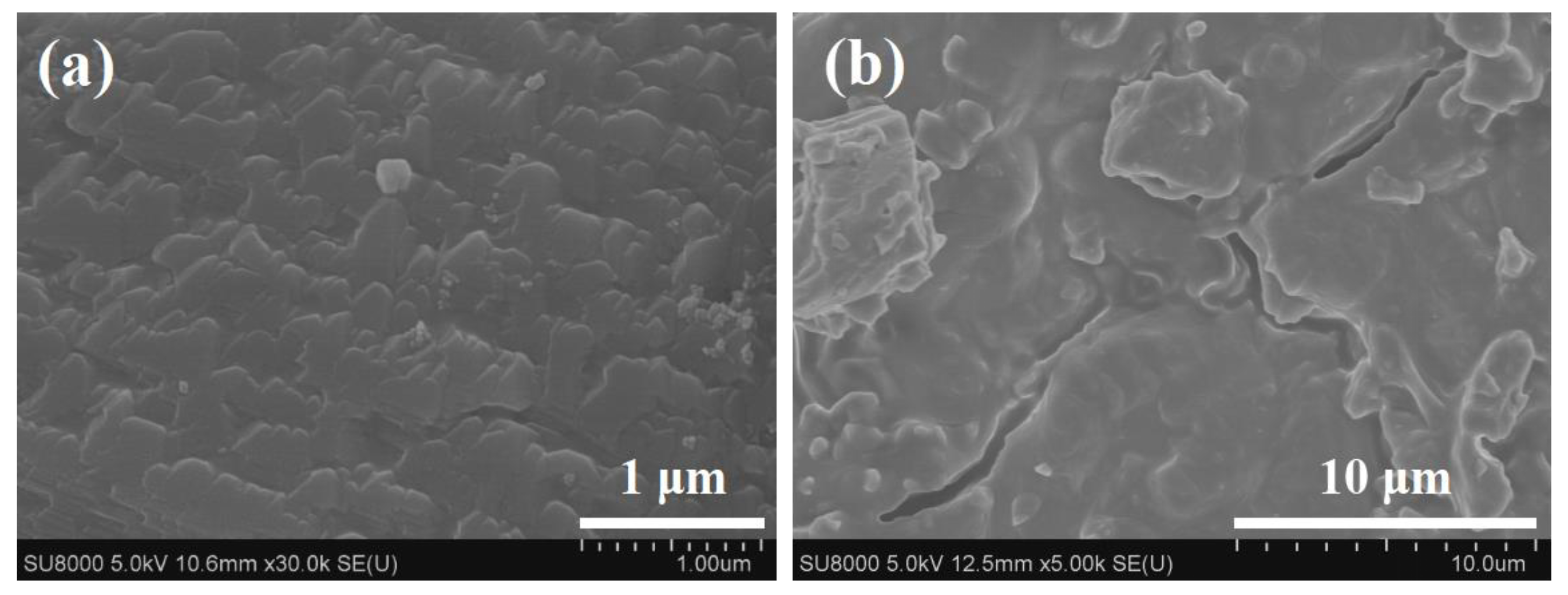 Membranes 12 01269 g003