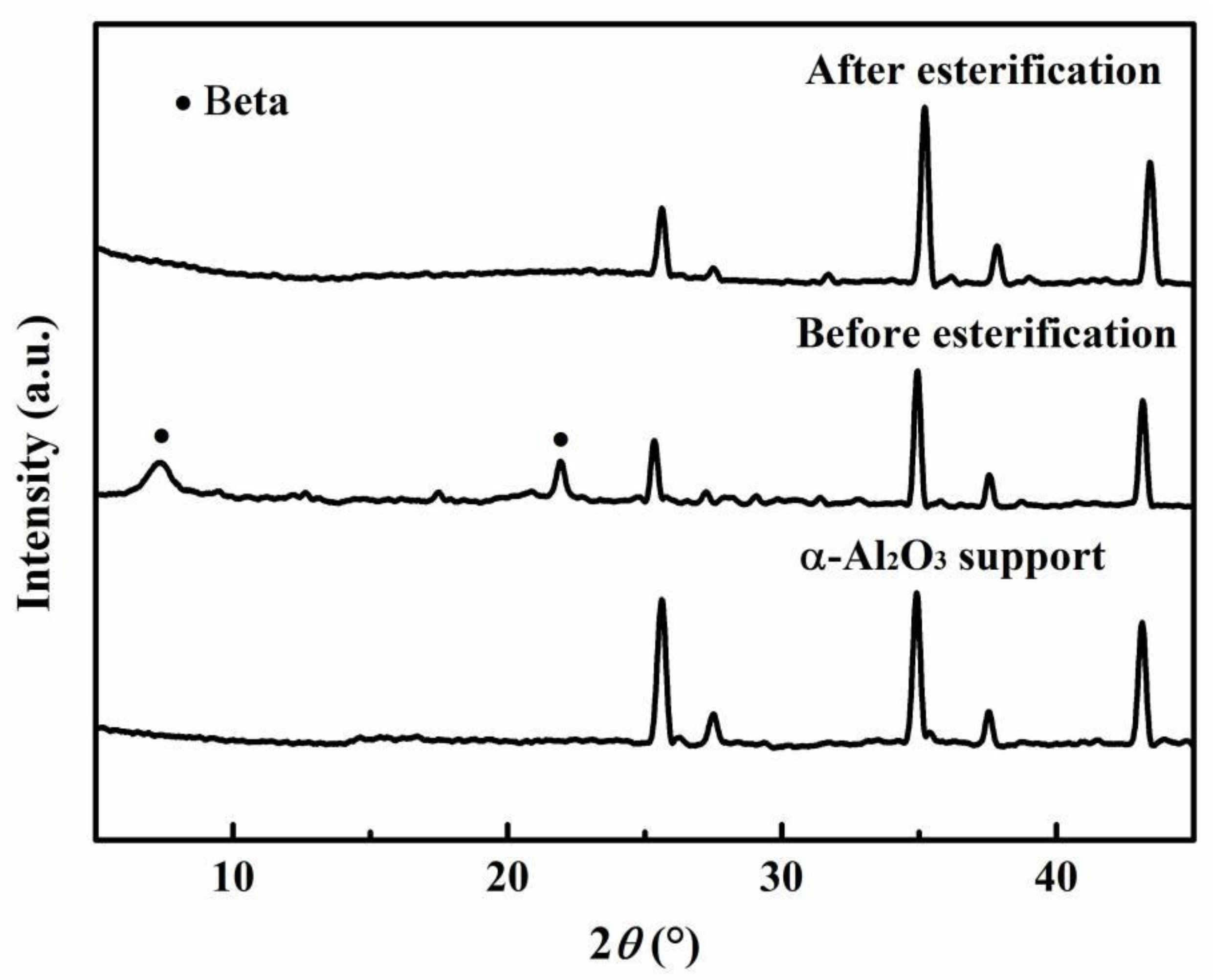 Membranes 12 01269 g004