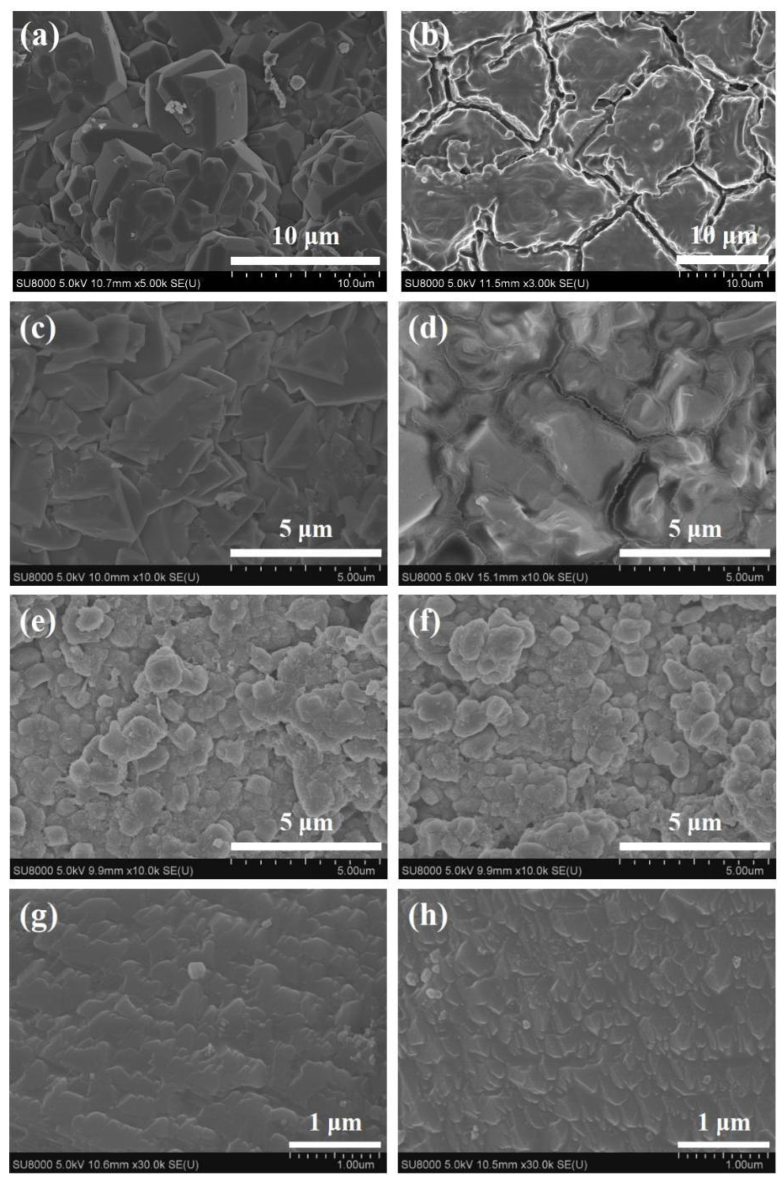 Membranes 12 01269 g006