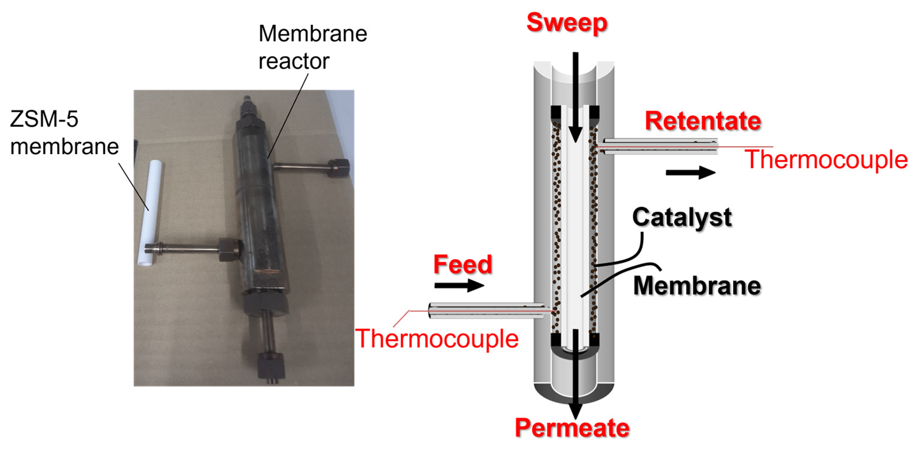 Membranes 12 01272 g002