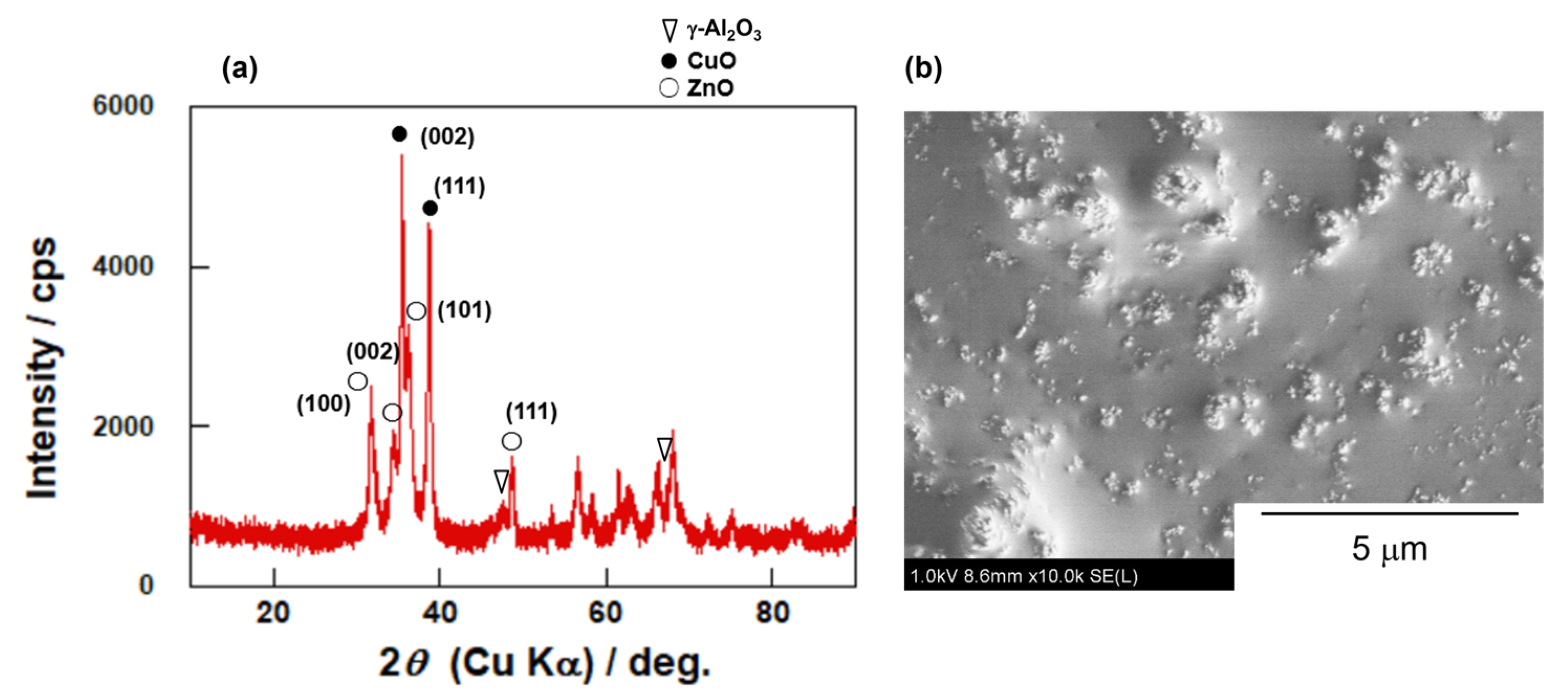 Membranes 12 01272 g003